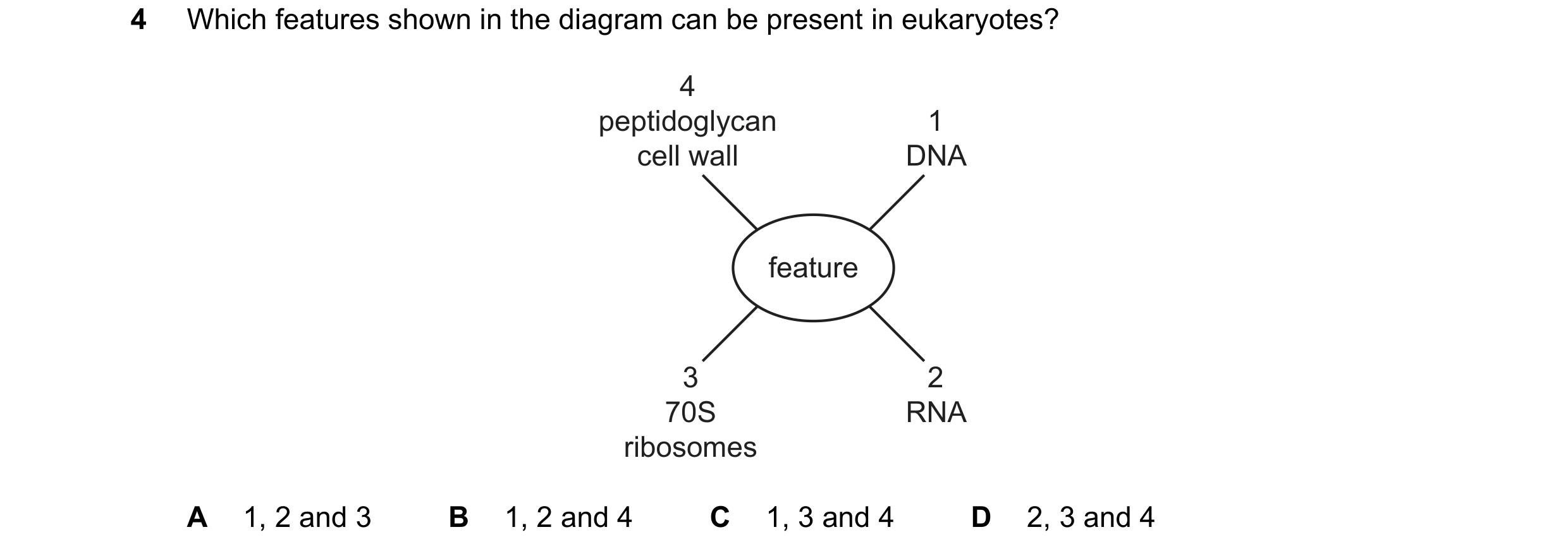 Question 227: Which features shown in the diagram can be present in eukaryotes? 4 peptidoglycan 1 cell wall DNA feature 3 2 70S RNA ribosomes A 1, 2 and …
