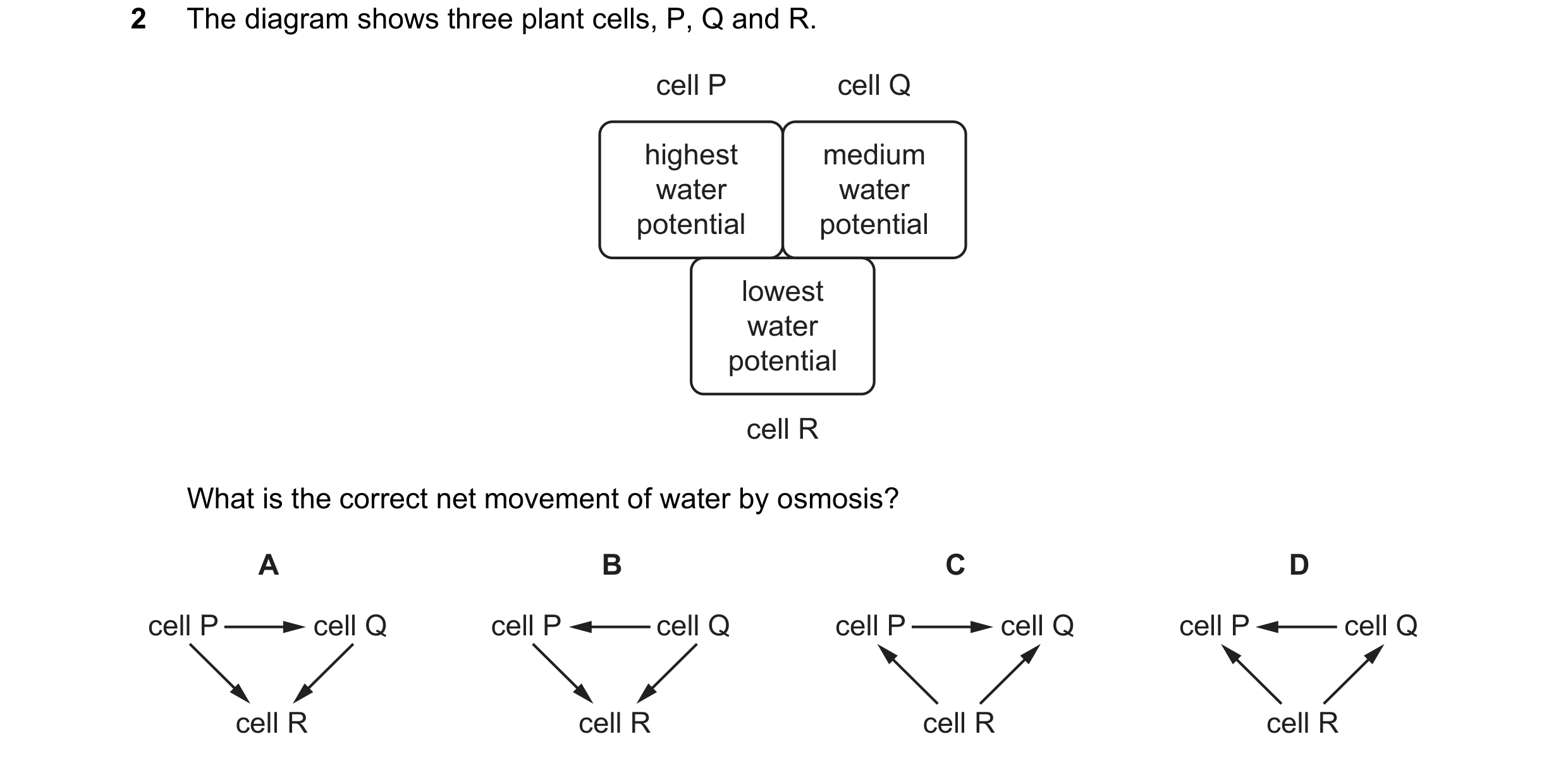 Question 7: The diagram shows three plant cells, P, Q and R. cell P cell Q highest medium water water potential potential lowest water potential cell R…
