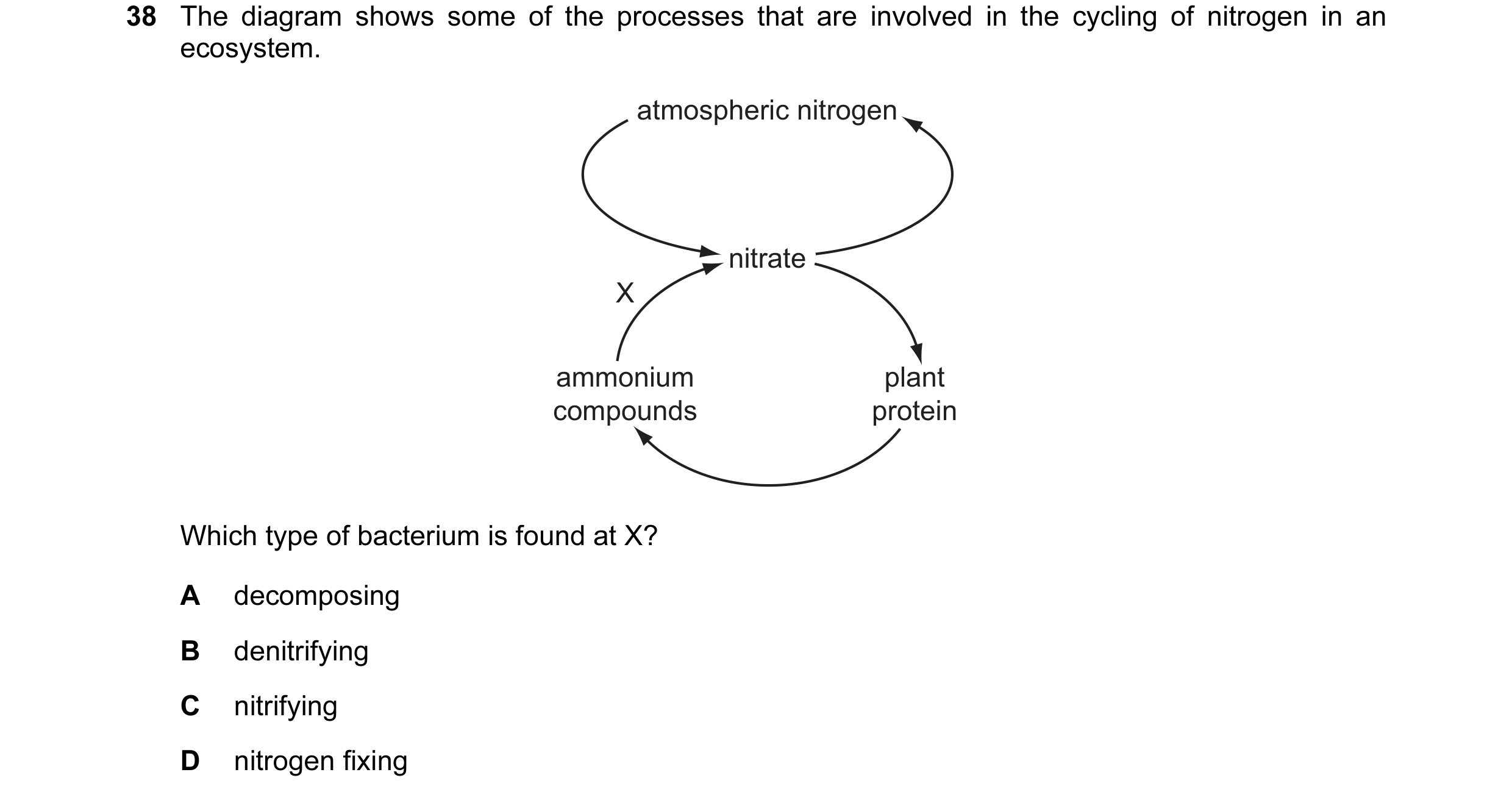 Question 42: The diagram shows some of the processes that are involved in the cycling of nitrogen in an ecosystem. atmospheric nitrogen nitrate X ammoni…