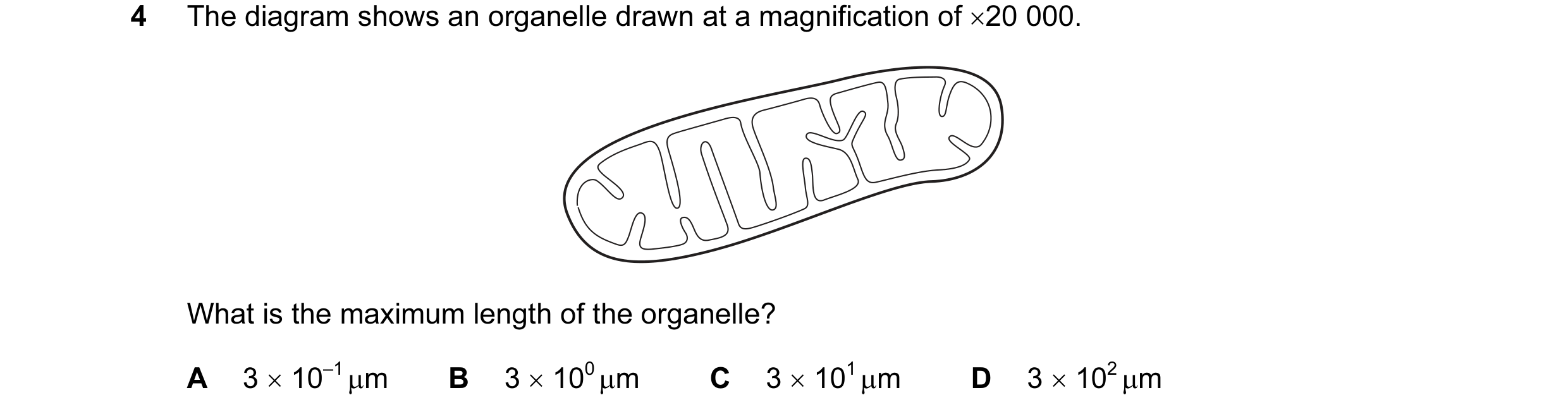 Question 59: The diagram shows an organelle drawn at a magnification of ×20 000. What is the maximum length of the organelle? A 3 × 10–1 µm B 3 × 100 µm…