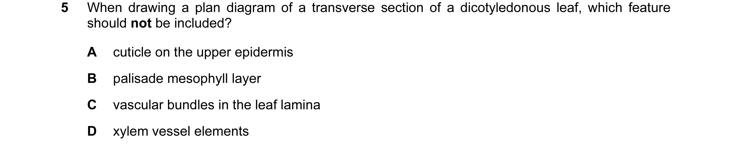 Question 22: When drawing a plan diagram of a transverse section of a dicotyledonous leaf, which feature should not be included? A cuticle on the upper …