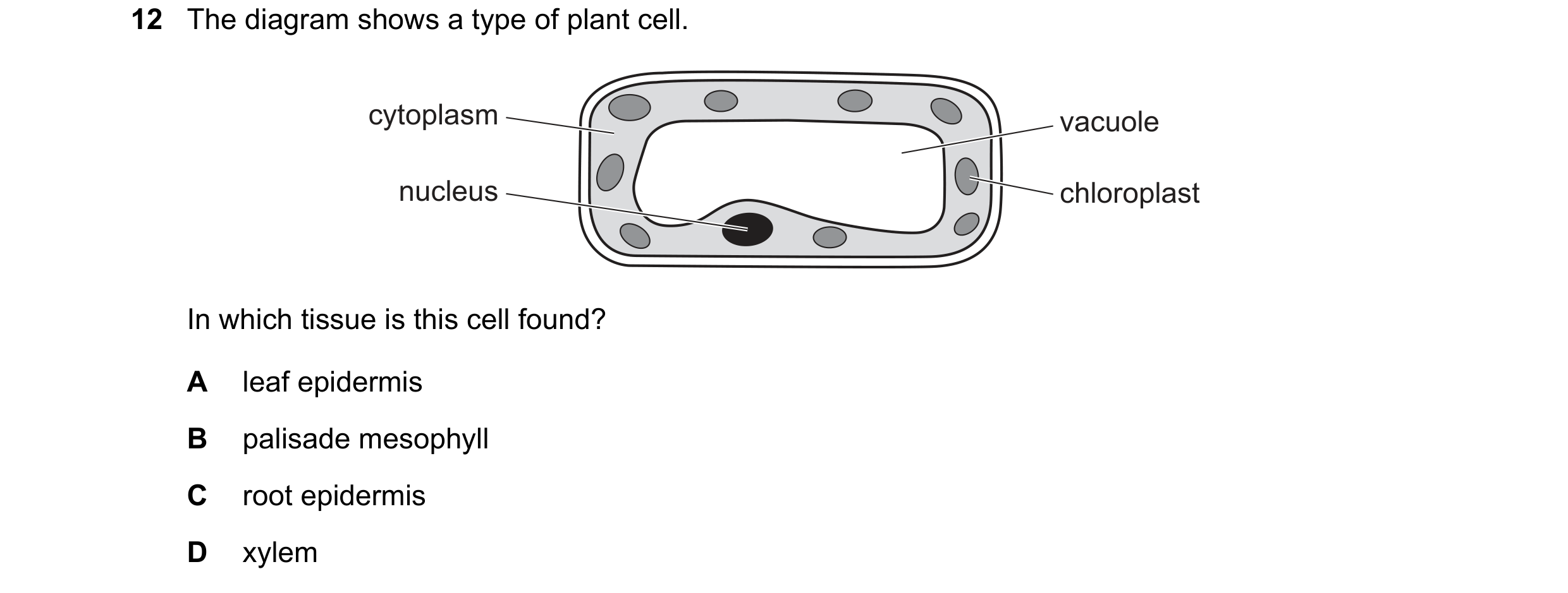 Question 15: The diagram shows a type of plant cell. cytoplasm vacuole nucleus chloroplast In which tissue is this cell found? A leaf epidermis B palisa…