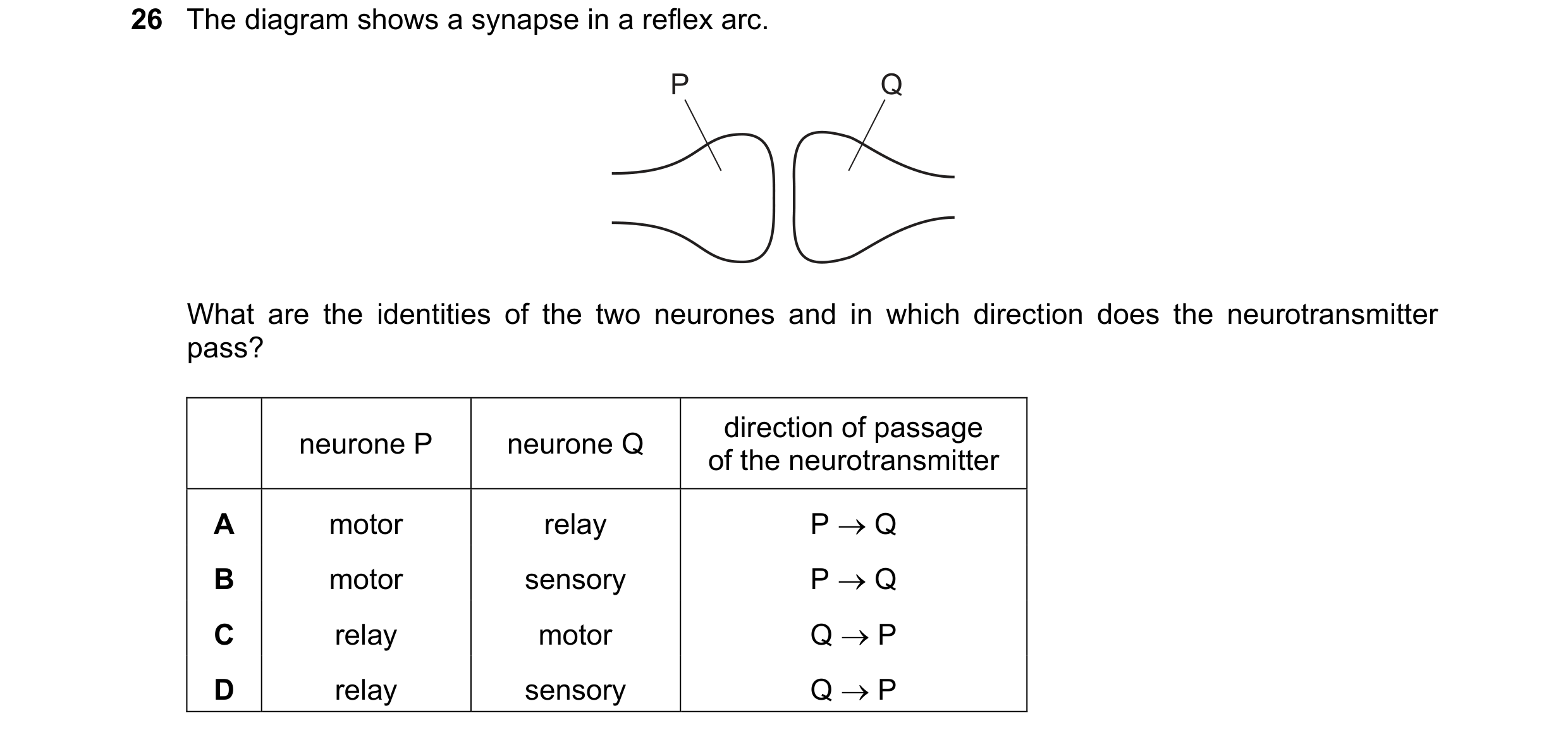 Question 22: The diagram shows a synapse in a reflex arc. P Q What are the identities of the two neurones and in which direction does the neurotransmitt…