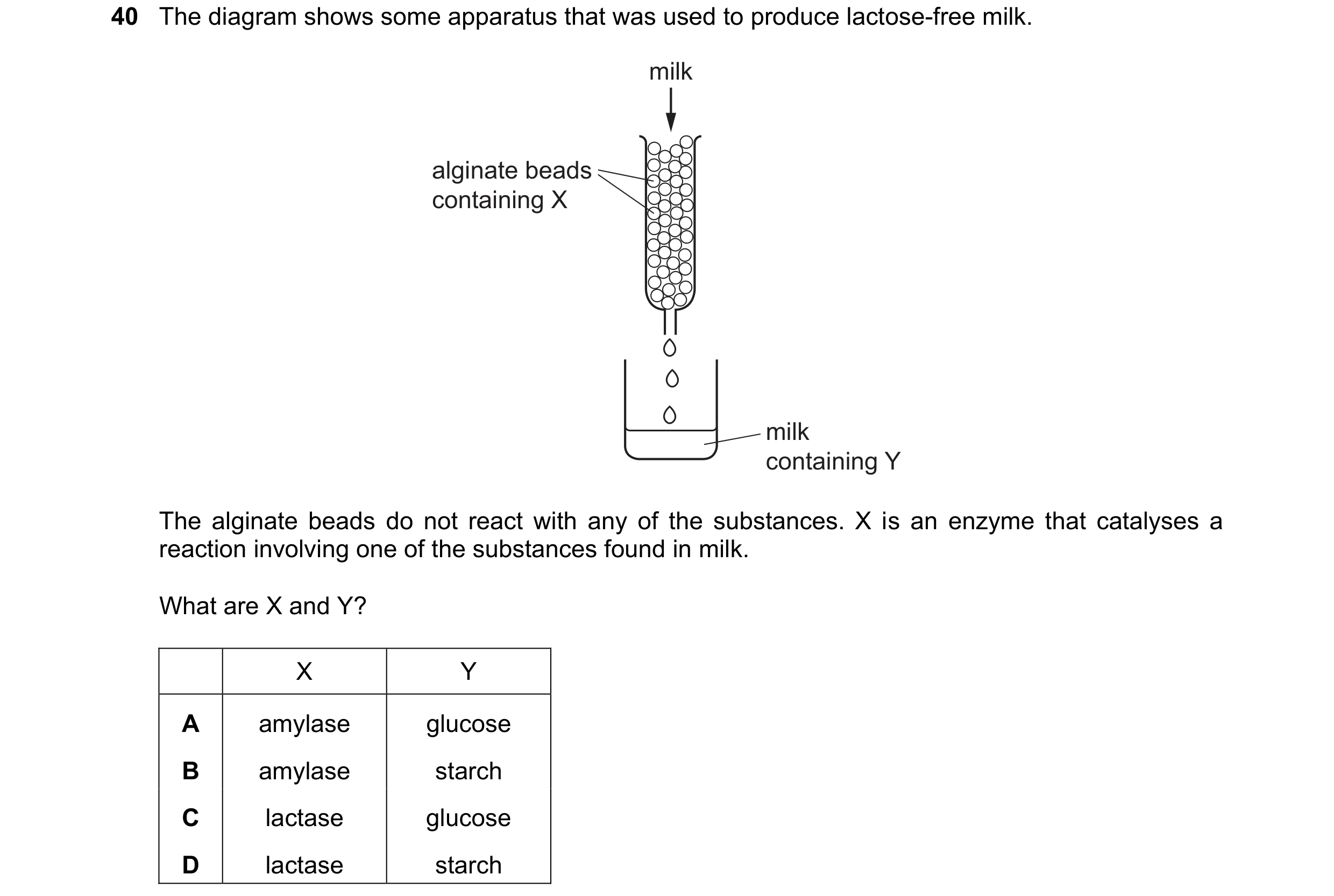 Question 10: The diagram shows some apparatus that was used to produce lactose-free milk. milk alginate beads containing X milk containing Y The alginat…