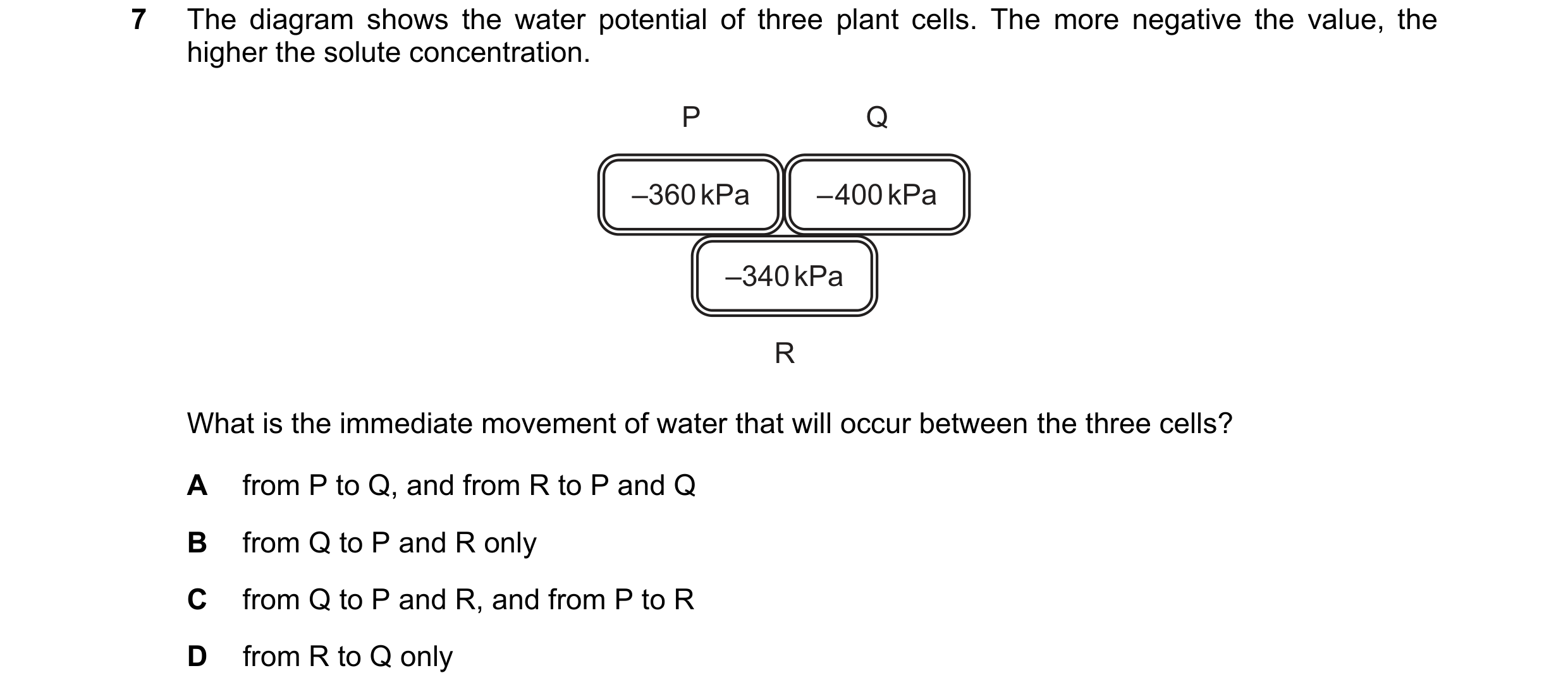 Question 27: The diagram shows the water potential of three plant cells. The more negative the value, the higher the solute concentration. P Q –360 kPa …