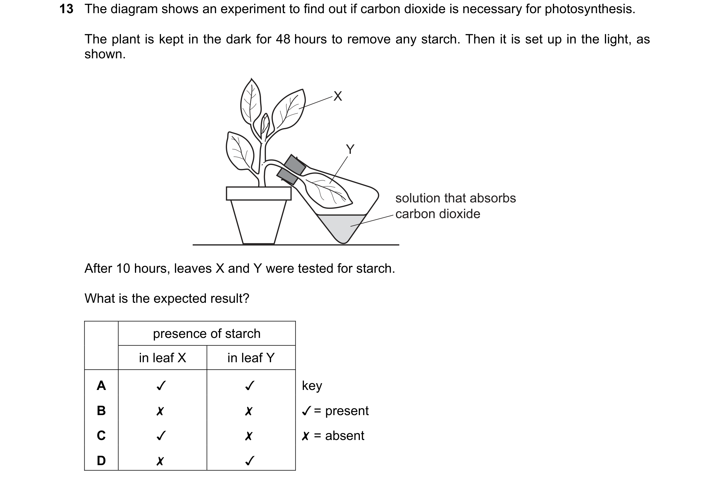 Question 21: The diagram shows an experiment to find out if carbon dioxide is necessary for photosynthesis.

The plant is kept in the dark for 48 hours …