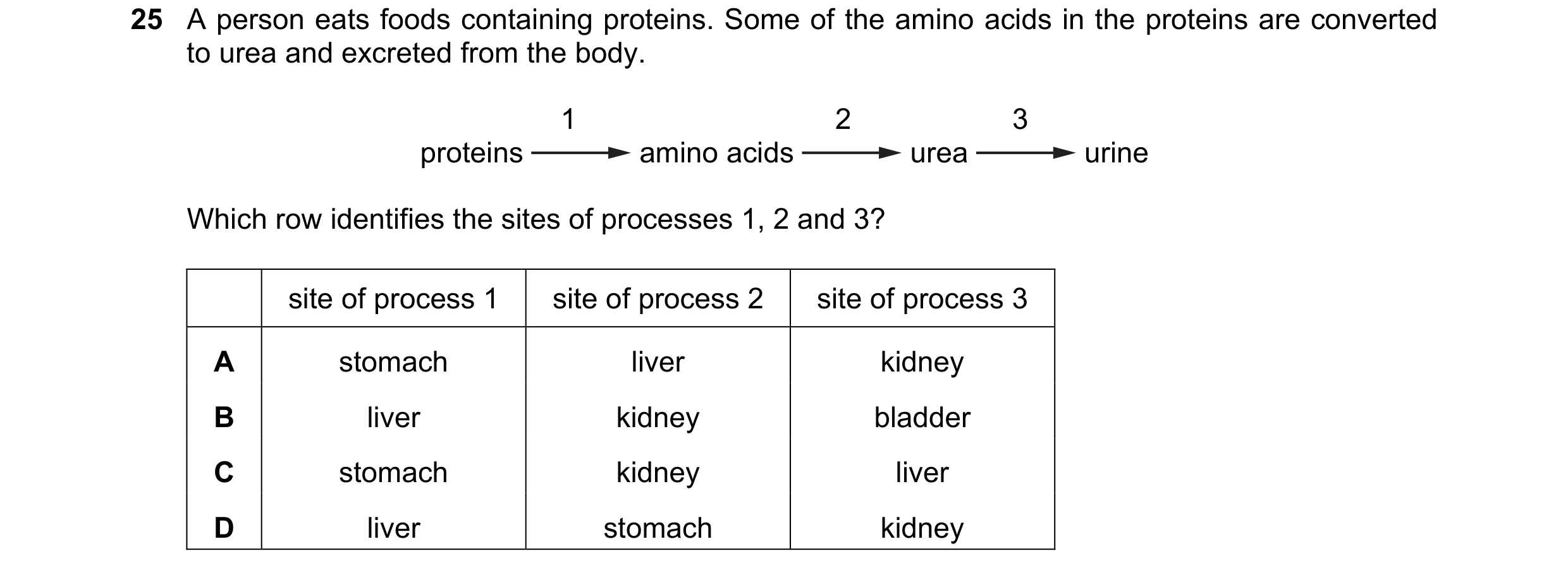 Question 16: A person eats foods containing proteins. Some of the amino acids in the proteins are converted to urea and excreted from the body. 1 2 3 pr…