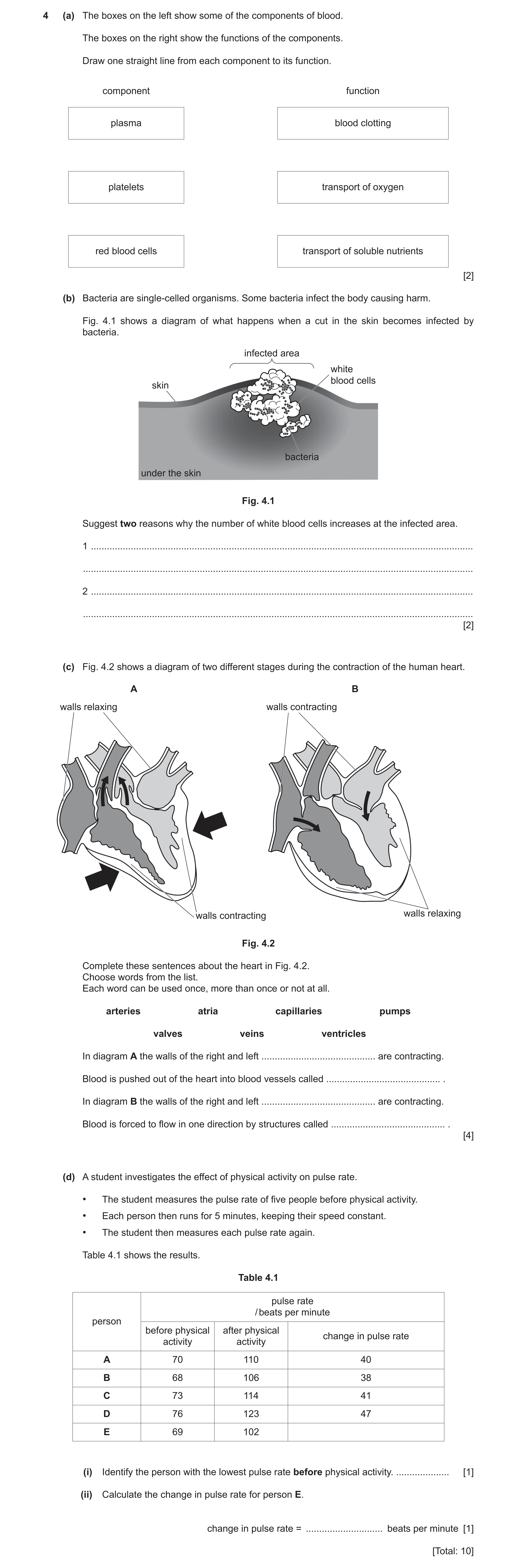 Question 7: (a) The boxes on the left show some of the components of blood. The boxes on the right show the functions of the components. Draw one strai…