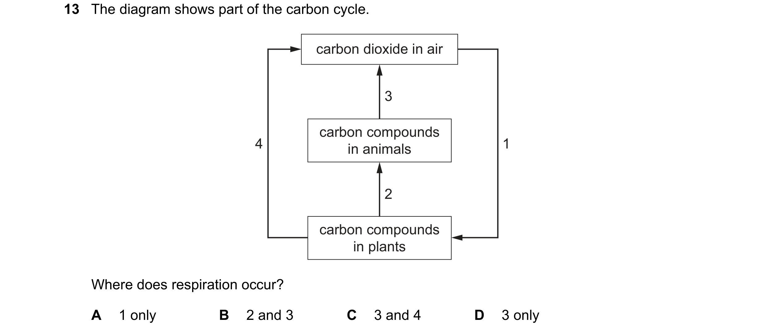 Question 38: The diagram shows part of the carbon cycle. carbon dioxide in air 3 carbon compounds 4 in animals 1 2 carbon compounds in plants Where does…