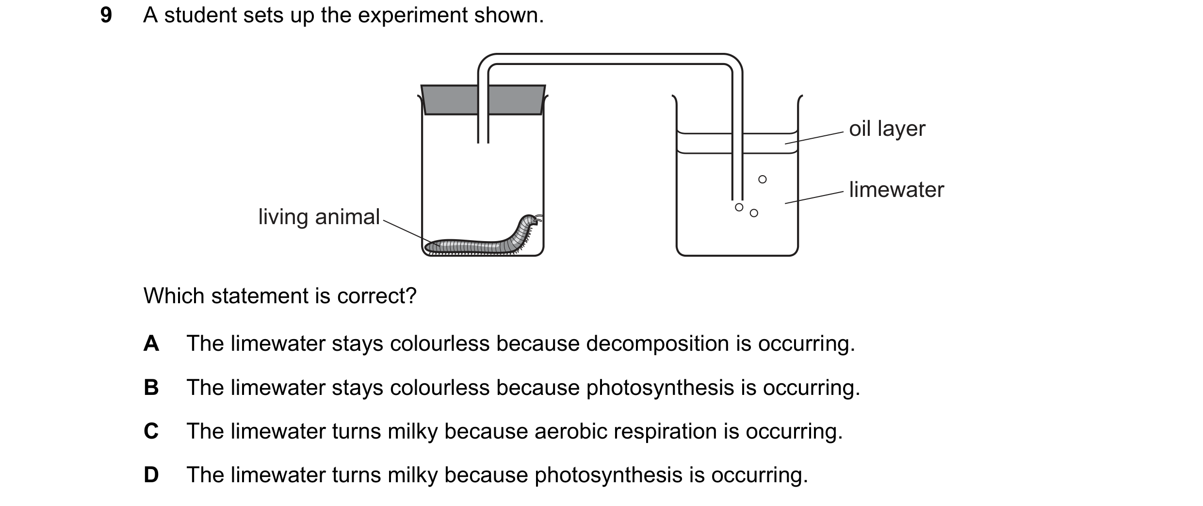 Question 37: A student sets up the experiment shown. oil layer limewater living animal Which statement is correct? A The limewater stays colourless beca…