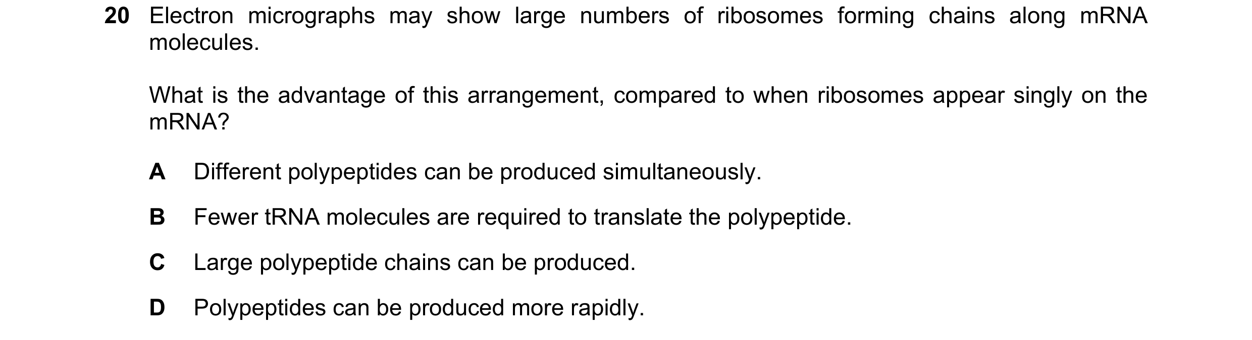 Question 98: Electron micrographs may show large numbers of ribosomes forming chains along mRNA molecules. What is the advantage of this arrangement, co…