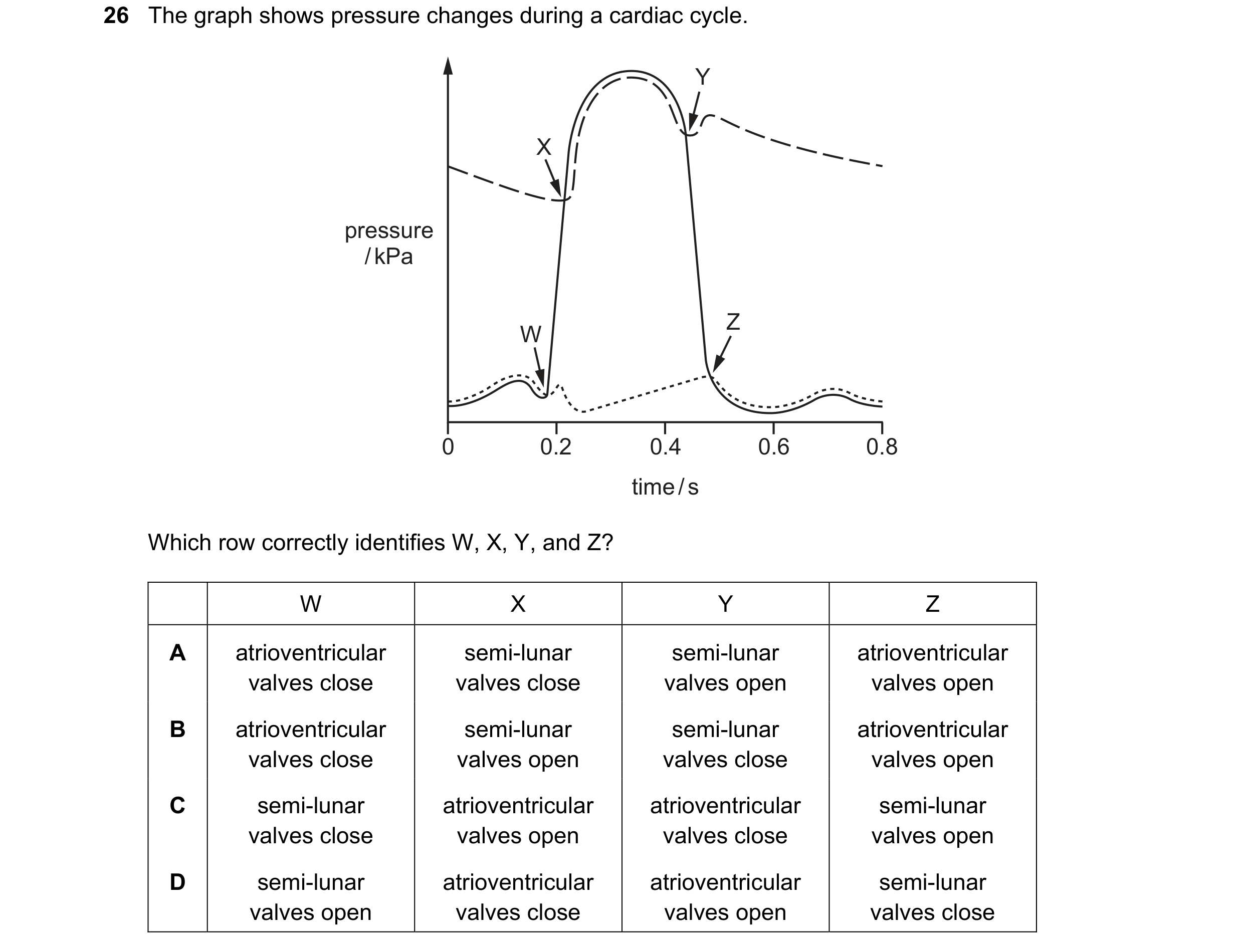 Question 68: The graph shows pressure changes during a cardiac cycle. Y X pressure / kPa Z W 0 0.2 0.4 0.6 0.8 time / s Which row correctly identifies W…
