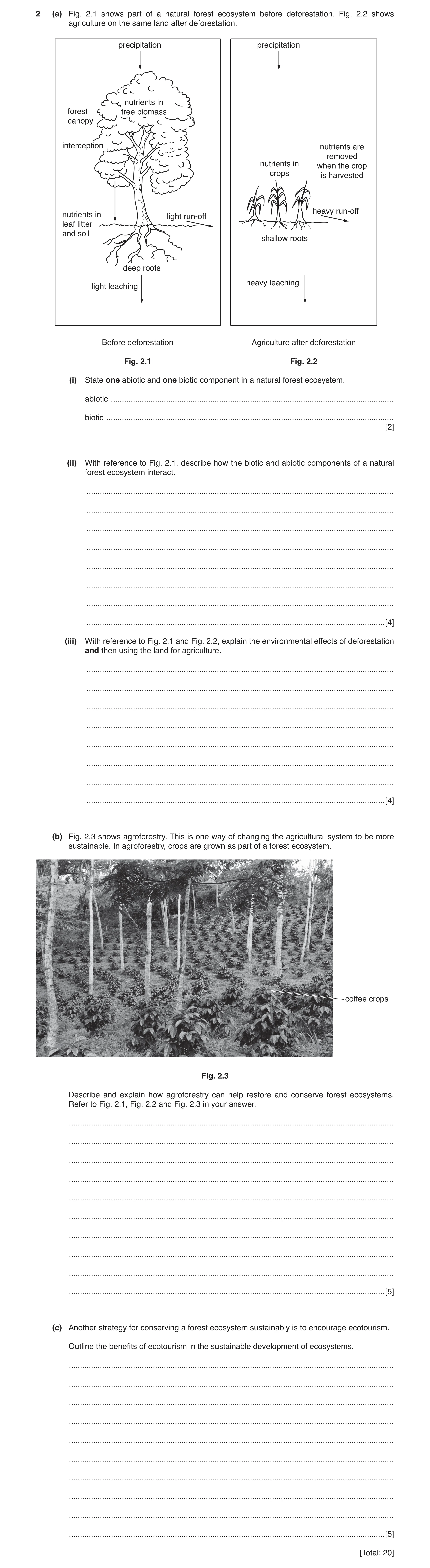 Question 11: (a) Fig. 2.1 shows part of a natural forest ecosystem before deforestation. Fig. 2.2 shows agriculture on the same land after deforestation…