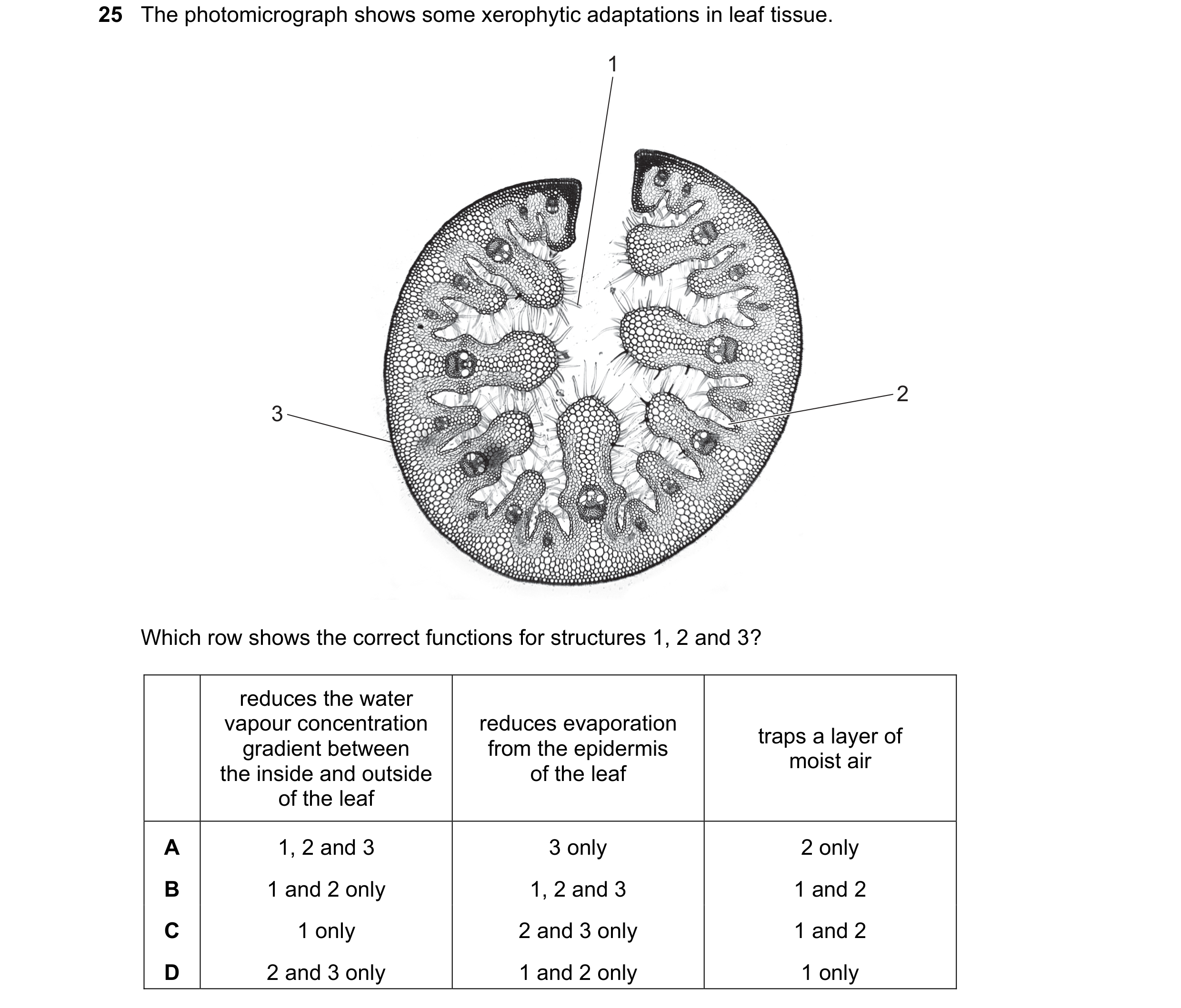 Question 305: The photomicrograph shows some xerophytic adaptations in leaf tissue. 1 2 3 Which row shows the correct functions for structures 1, 2 and 3…