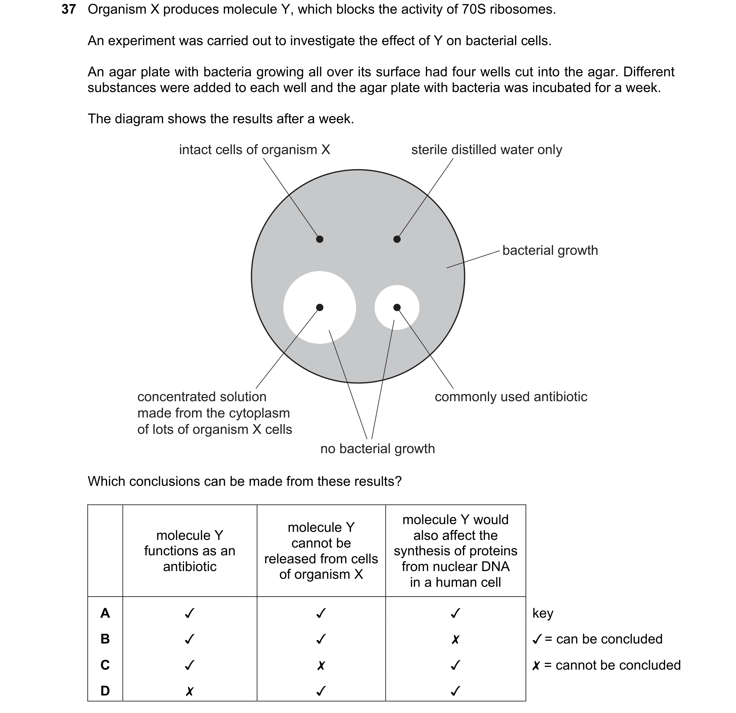 Question 79: Organism X produces molecule Y, which blocks the activity of 70S ribosomes.
An experiment was carried out to investigate the effect of Y on…
