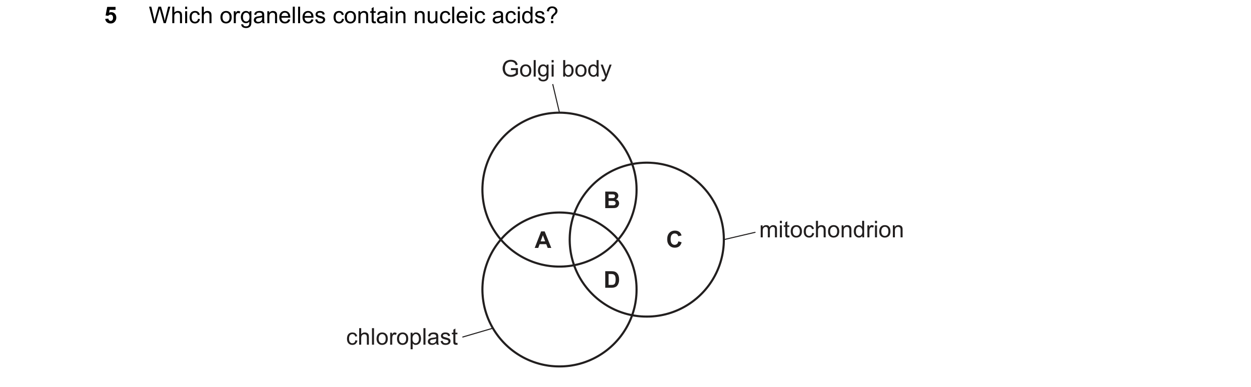Question 328: Which organelles contain nucleic acids? Golgi body B A C mitochondrion D chloroplast
