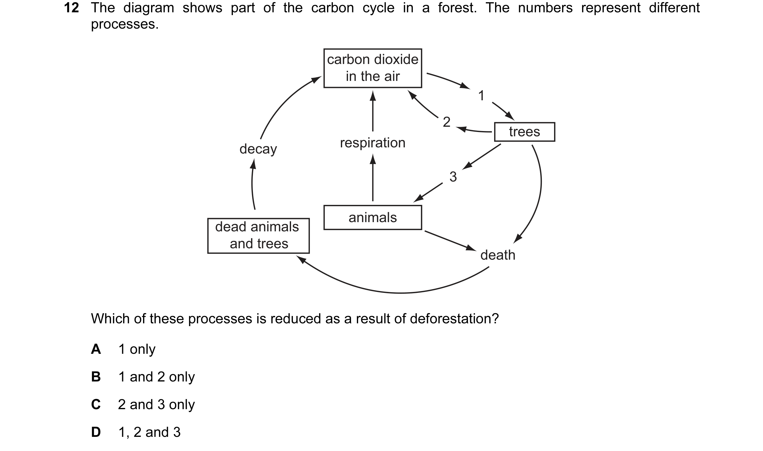 Question 19: The diagram shows part of the carbon cycle in a forest. The numbers represent different processes. carbon dioxide in the air 1 2 trees deca…