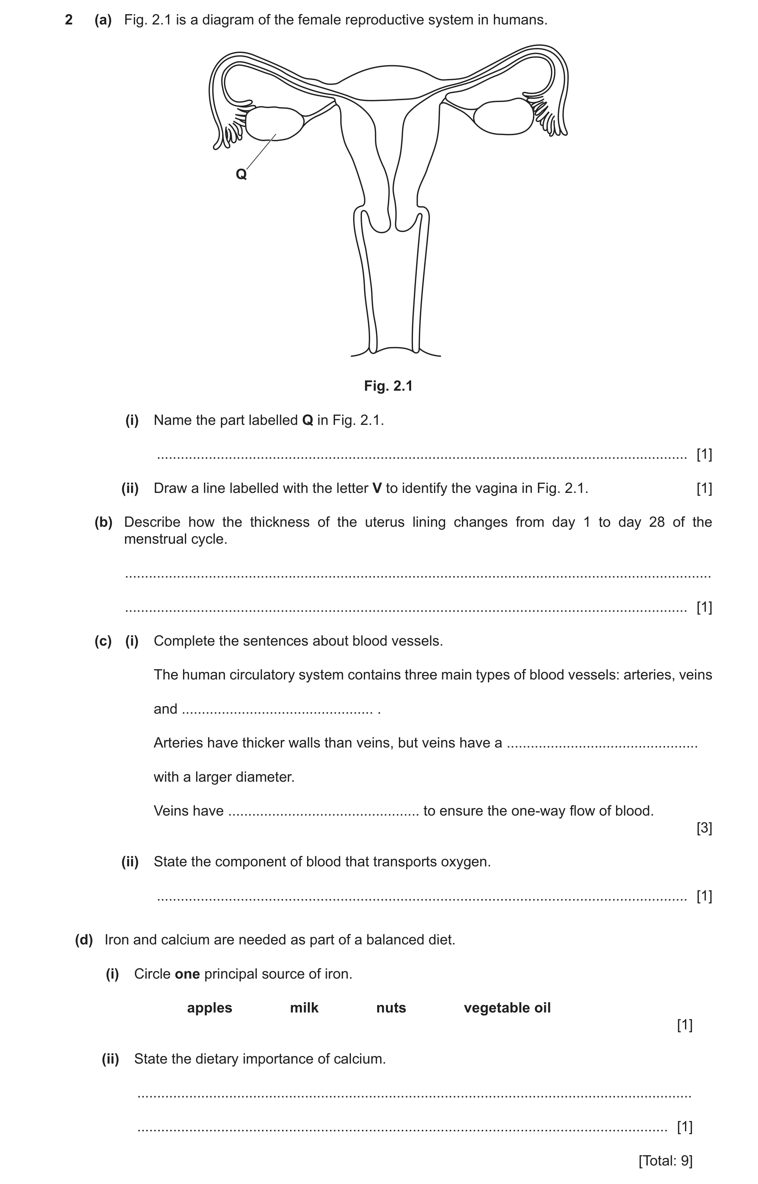 Question 23: (a) Fig. 2.1 is a diagram of the female reproductive system in humans. Q Fig. 2.1 (i) Name the part labelled Q in Fig. 2.1. ...............…