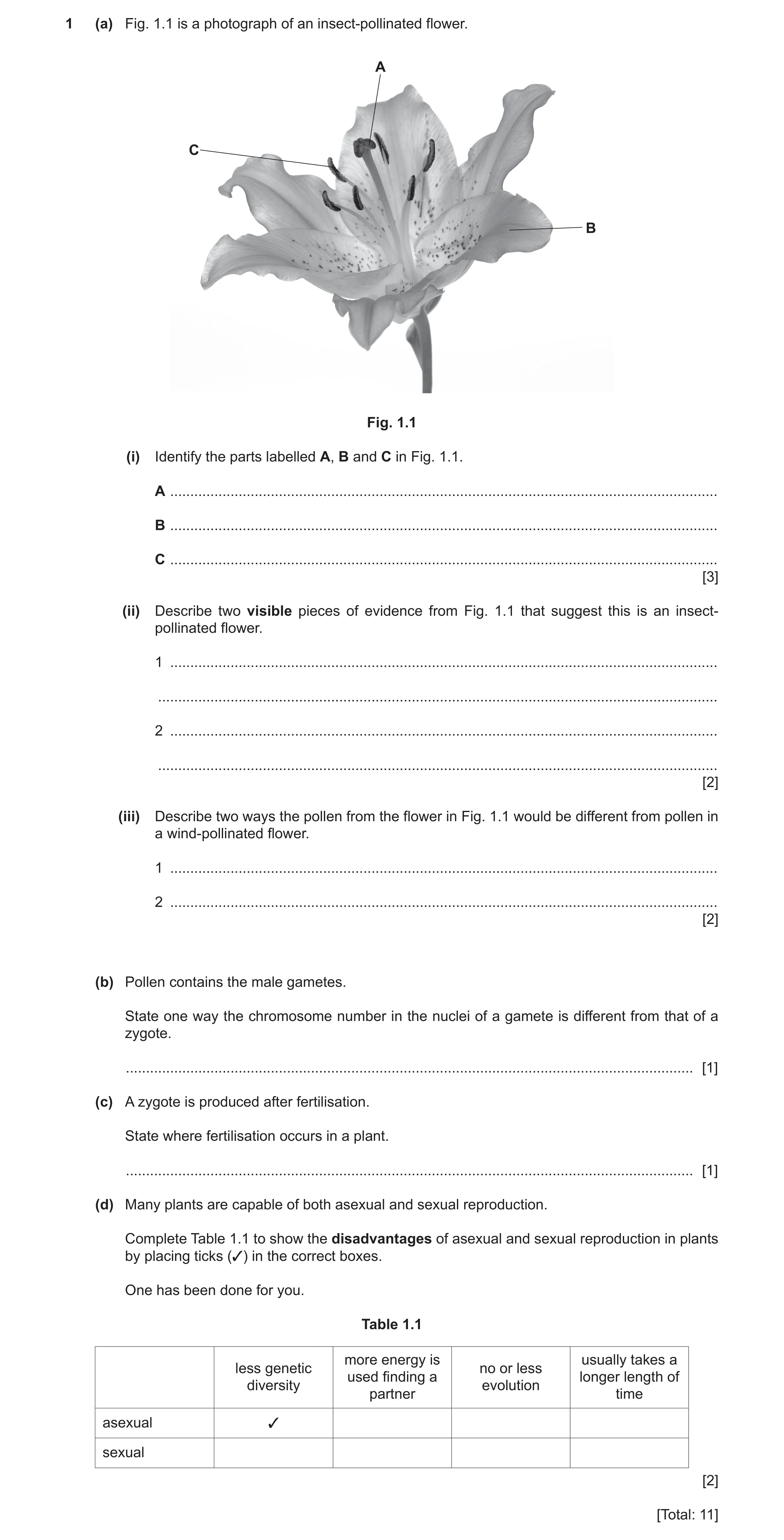 Question 7: (a) Fig. 1.1 is a photograph of an insect-pollinated flower. A C B Fig. 1.1 (i) Identify the parts labelled A, B and C in Fig. 1.1. A .....…