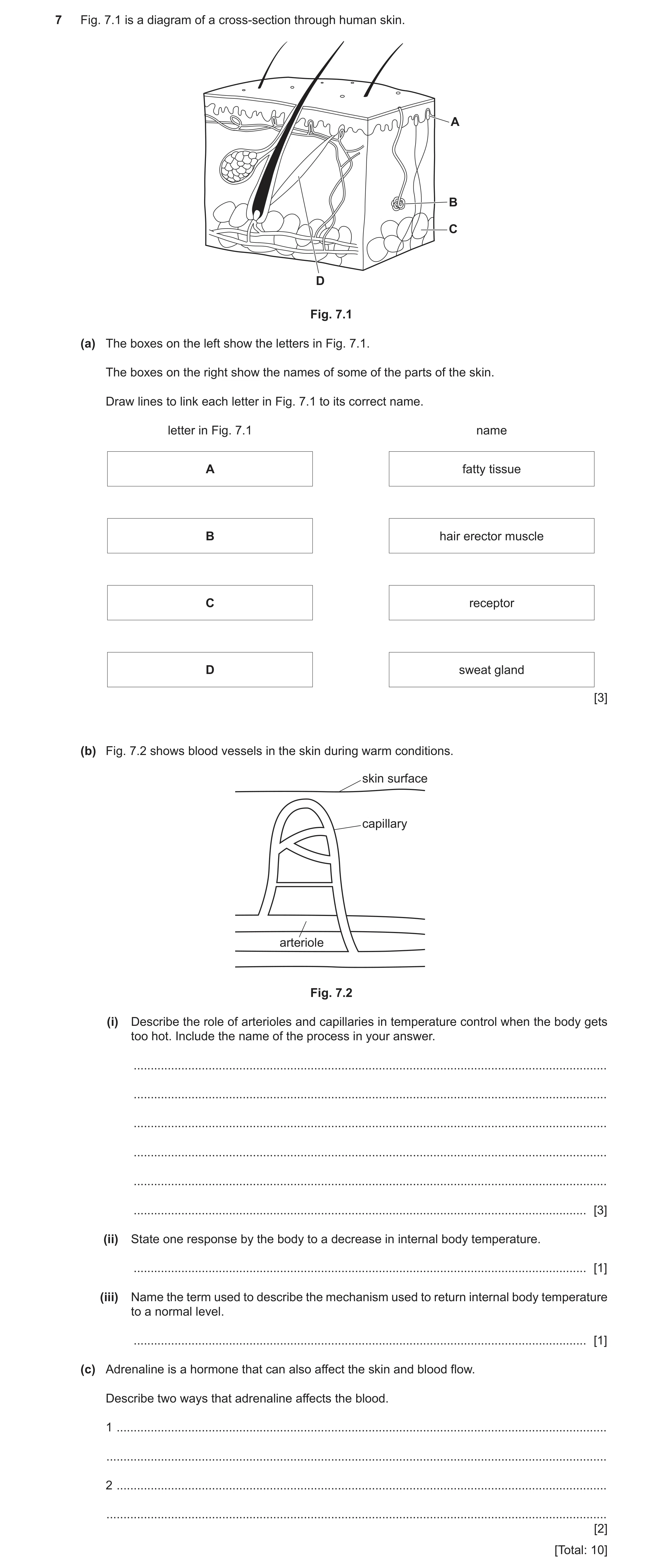 Question 8: Fig. 7.1 is a diagram of a cross-section through human skin. A B C D Fig. 7.1 (a) The boxes on the left show the letters in Fig. 7.1. The b…