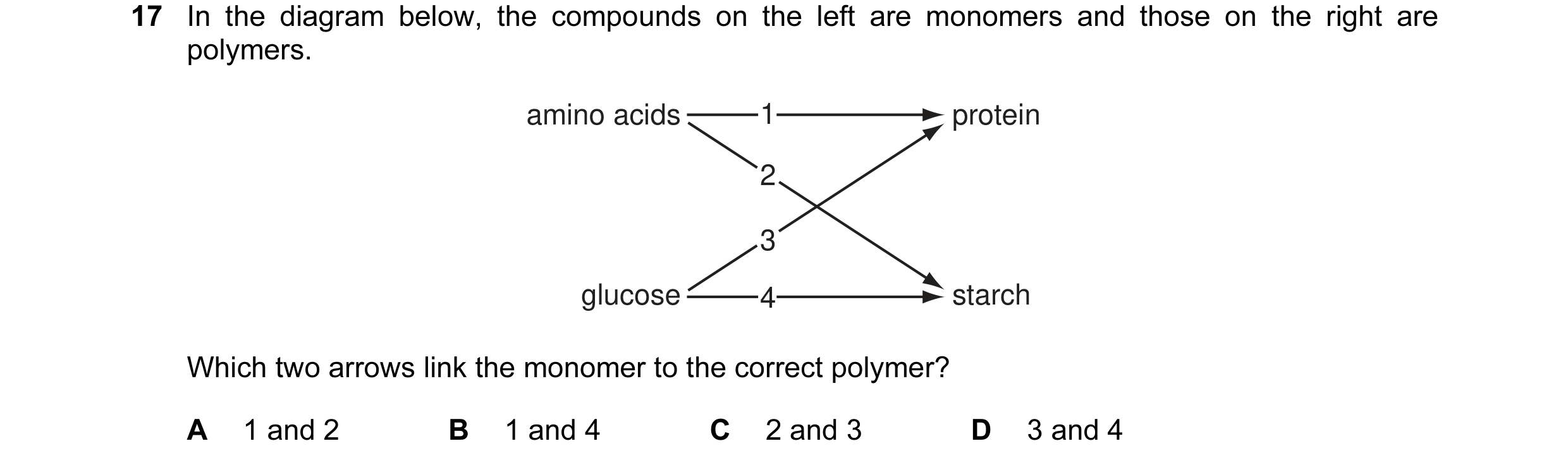 Question 13: In the diagram below, the compounds on the left are monomers and those on the right are polymers. amino acids 1 protein 2 3 glucose 4 starc…