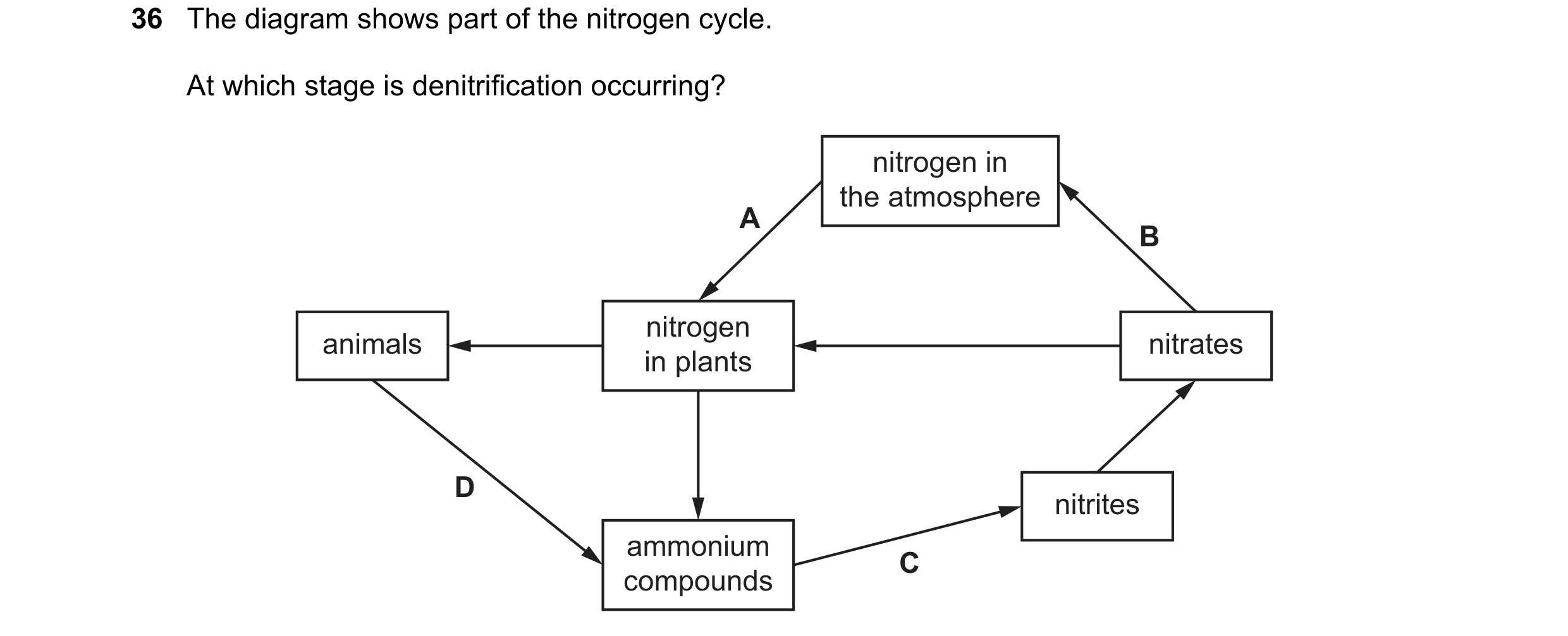 Question 3: The diagram shows part of the nitrogen cycle. At which stage is denitrification occurring? nitrogen in the atmosphere A B nitrogen animals …