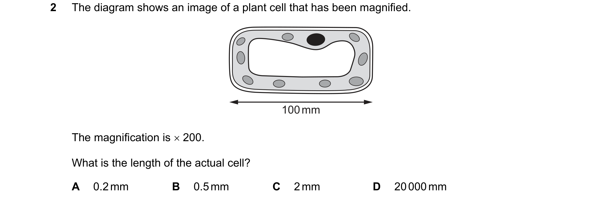 Question 52: The diagram shows an image of a plant cell that has been magnified. 100 mm The magnification is × 200. What is the length of the actual cel…
