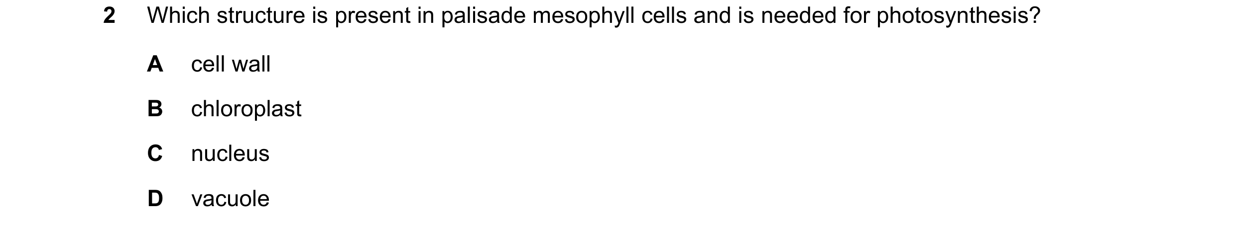 Question 49: Which structure is present in palisade mesophyll cells and is needed for photosynthesis? A cell wall B chloroplast C nucleus D vacuole