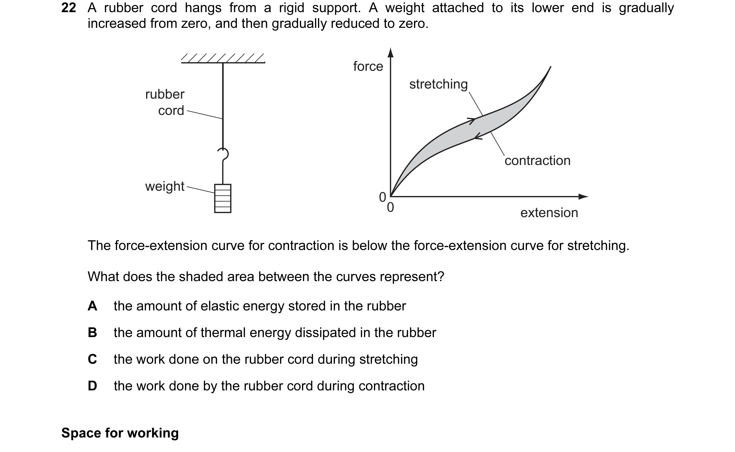 Question 41: A rubber cord hangs from a rigid support. A weight attached to its lower end is gradually increased from zero, and then gradually reduced t…