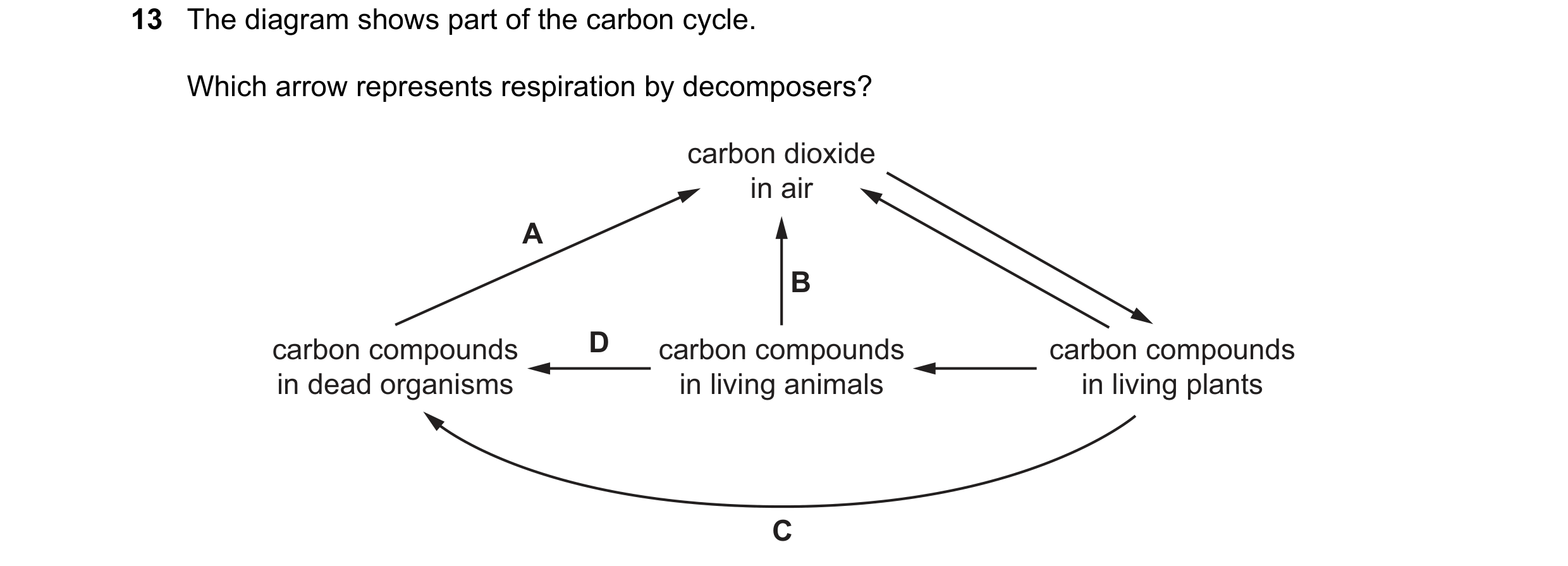 Question 45: The diagram shows part of the carbon cycle. Which arrow represents respiration by decomposers? carbon dioxide in air A B carbon compounds D…