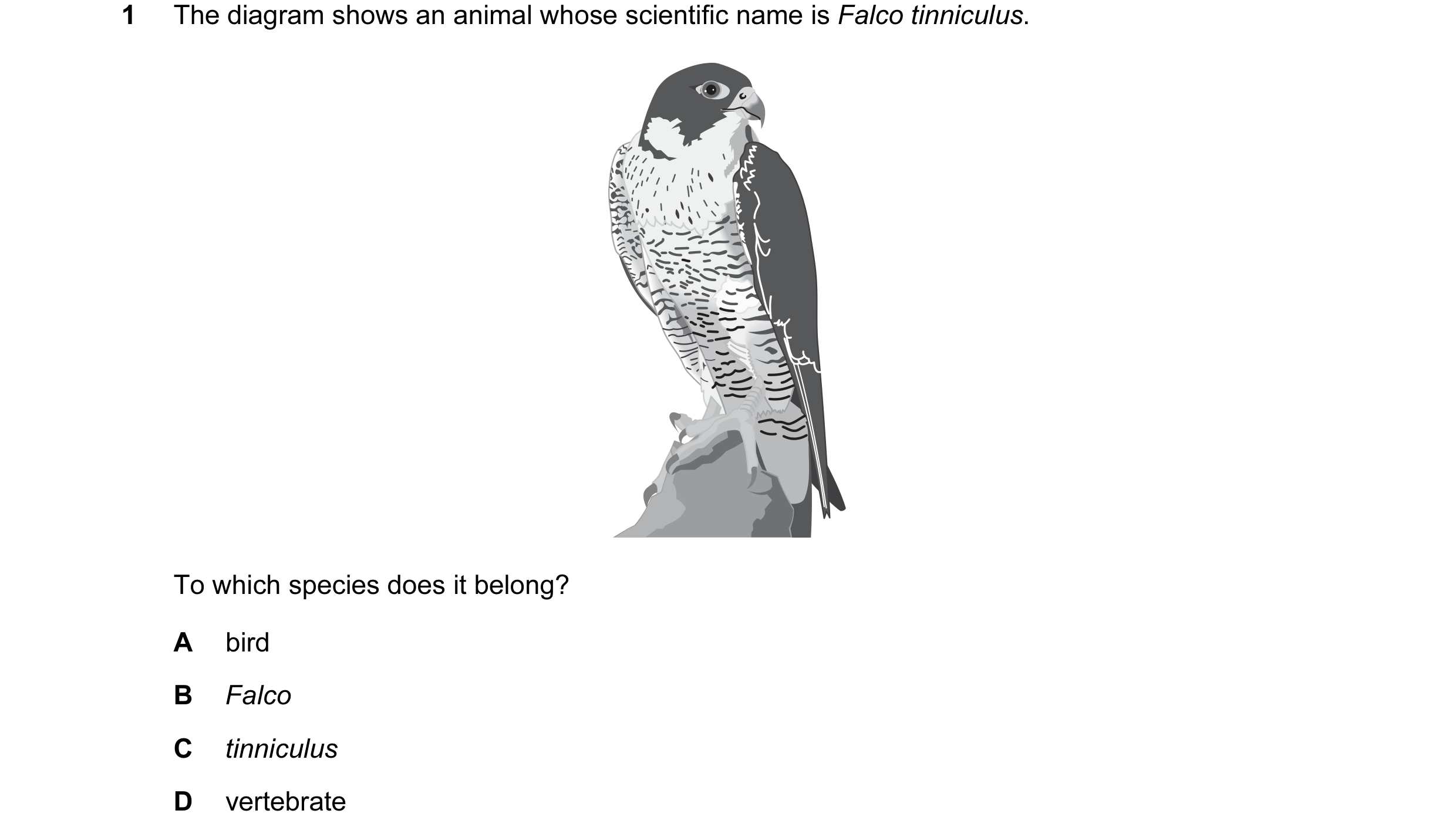 Question 7: The diagram shows an animal whose scientific name is Falco tinniculus. To which species does it belong? A bird B Falco C tinniculus D verte…