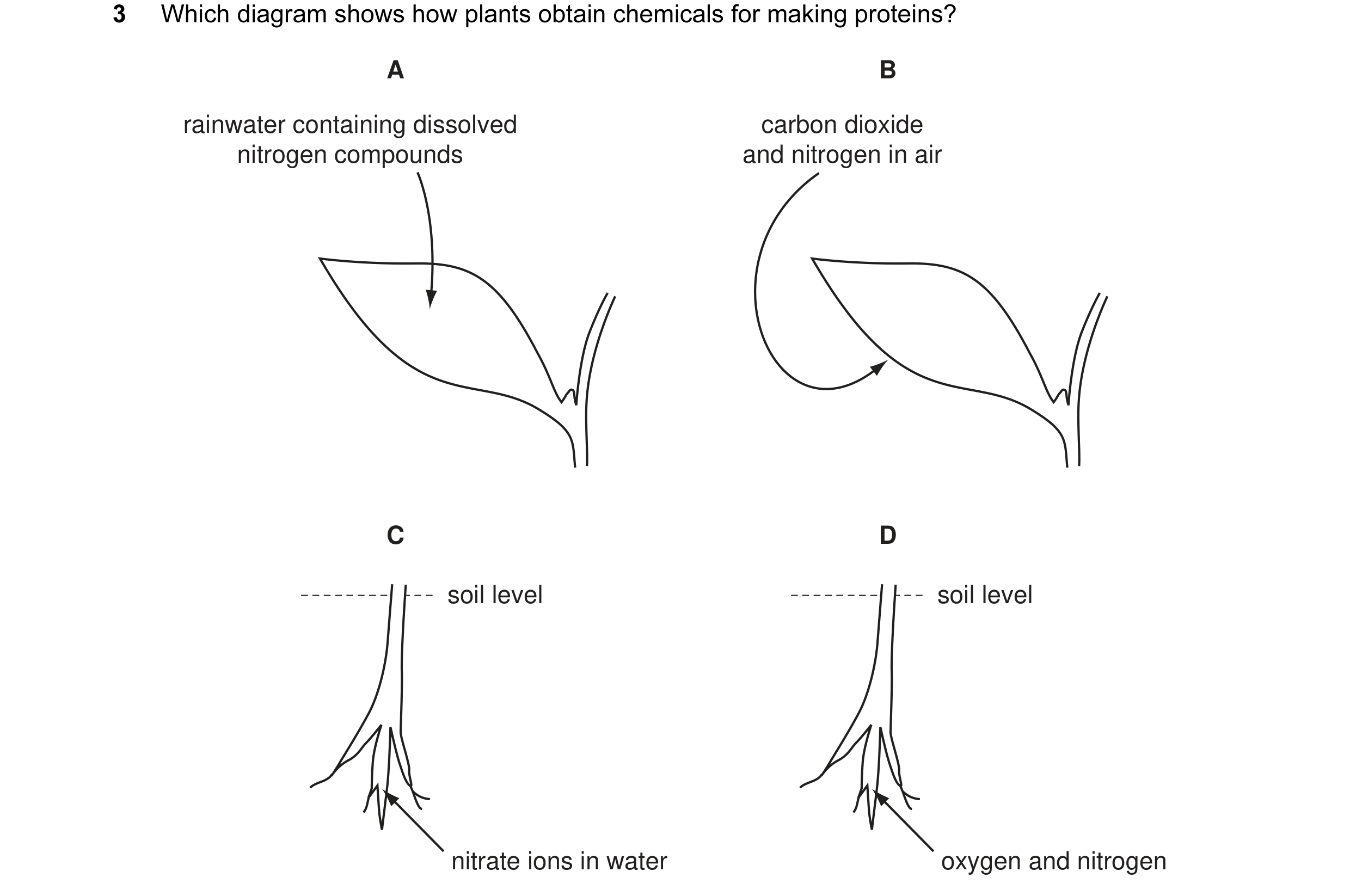 Question 5: Which diagram shows how plants obtain chemicals for making proteins? A B rainwater containing dissolved carbon dioxide nitrogen compounds a…