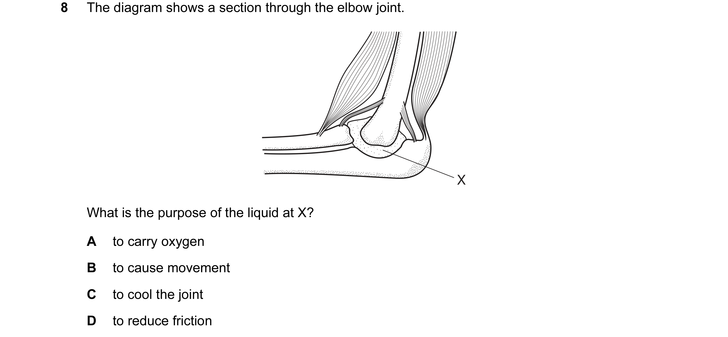 Question 8: The diagram shows a section through the elbow joint. X What is the purpose of the liquid at X? A to carry oxygen B to cause movement C to c…