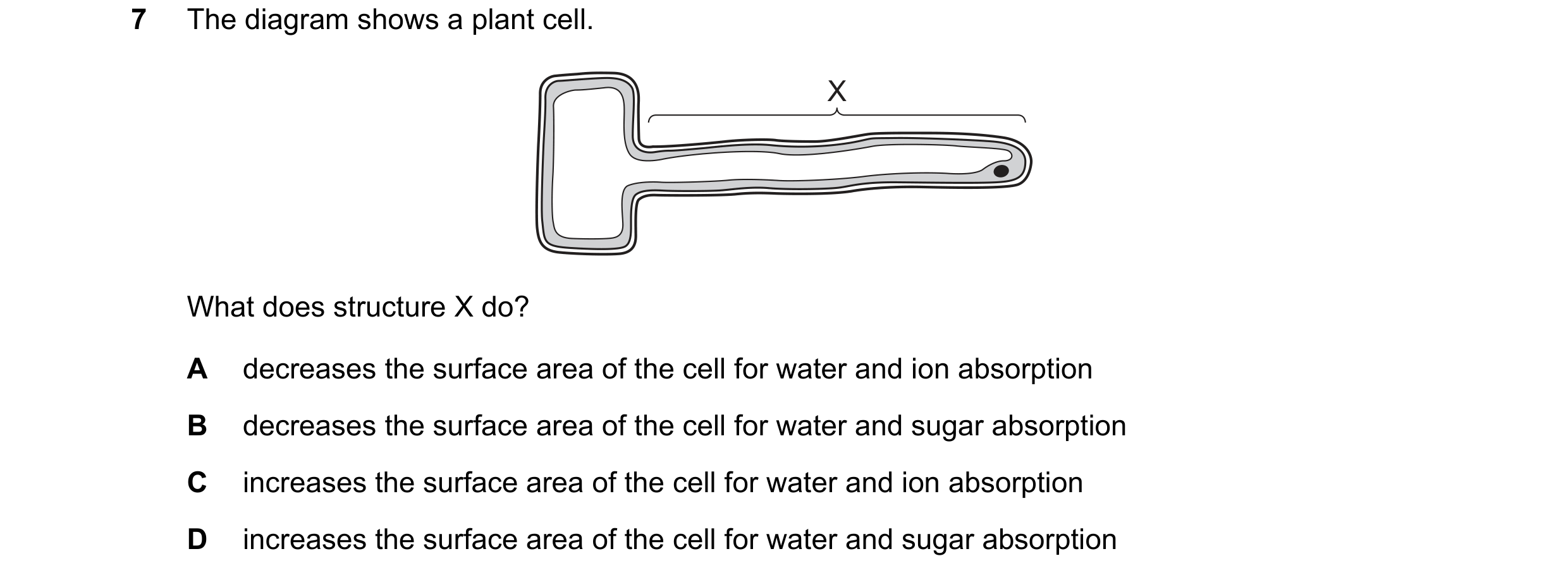 Question 4: The diagram shows a plant cell. X What does structure X do? A decreases the surface area of the cell for water and ion absorption B decreas…