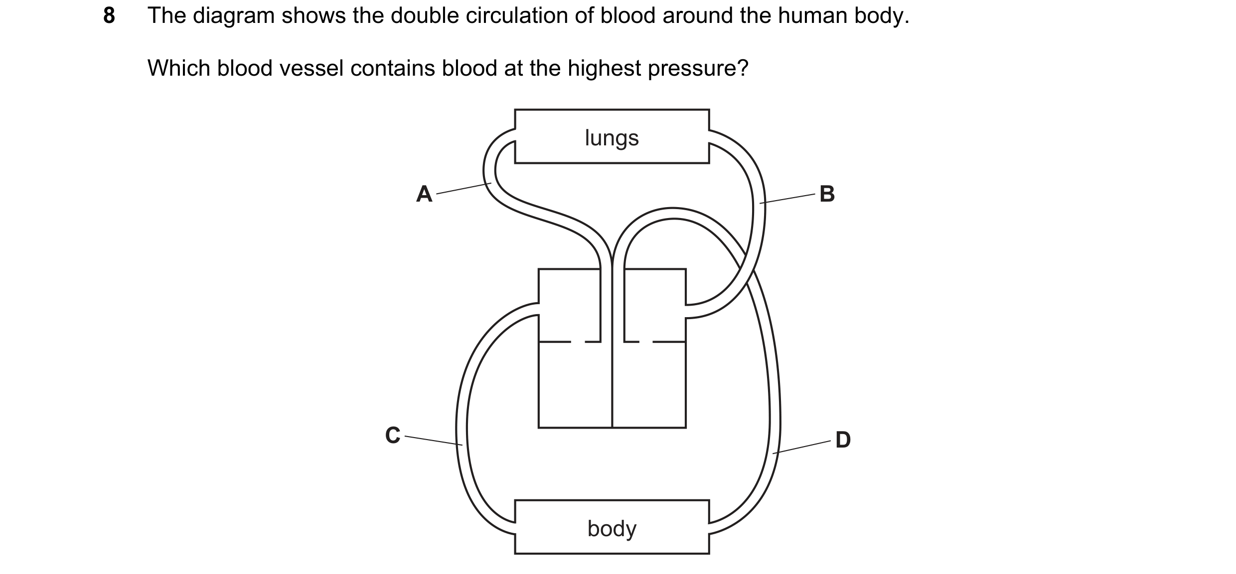 Question 5: The diagram shows the double circulation of blood around the human body. Which blood vessel contains blood at the highest pressure? lungs A…