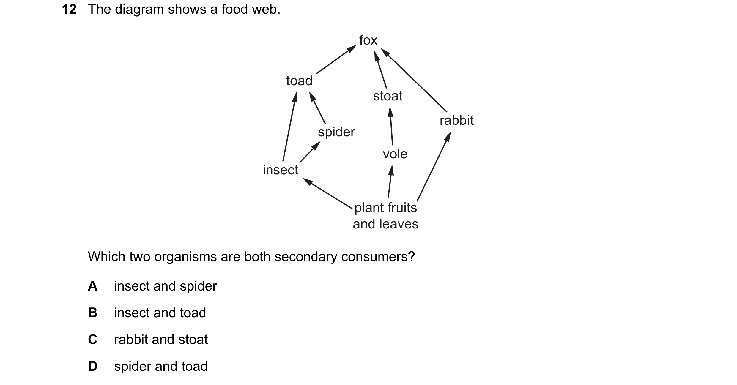 Question 42: The diagram shows a food web. fox toad stoat rabbit spider vole insect plant fruits and leaves Which two organisms are both secondary consu…