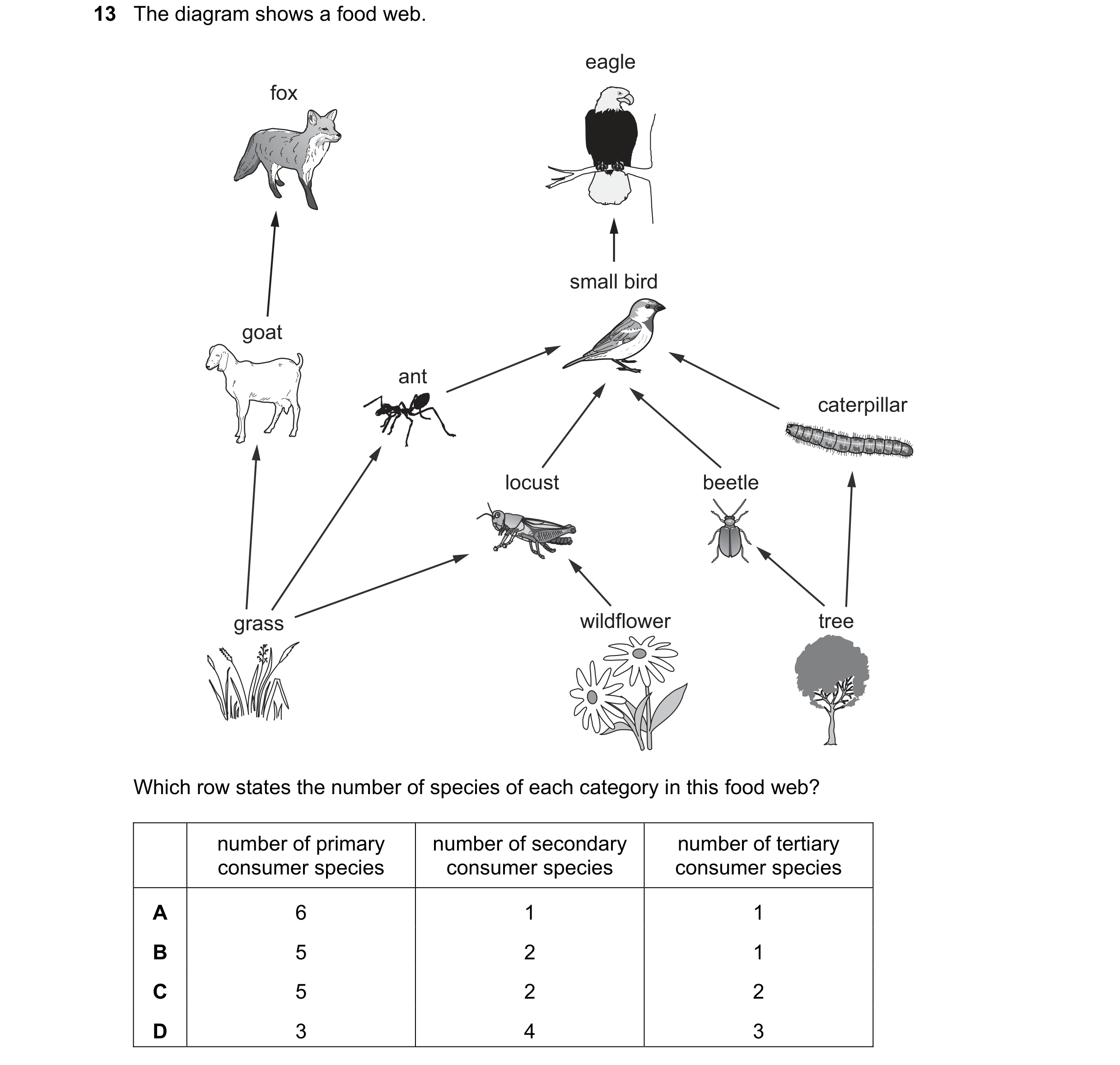 Question 42: The diagram shows a food web. eagle fox small bird goat ant caterpillar locust beetle grass wildflower tree Which row states the number of …