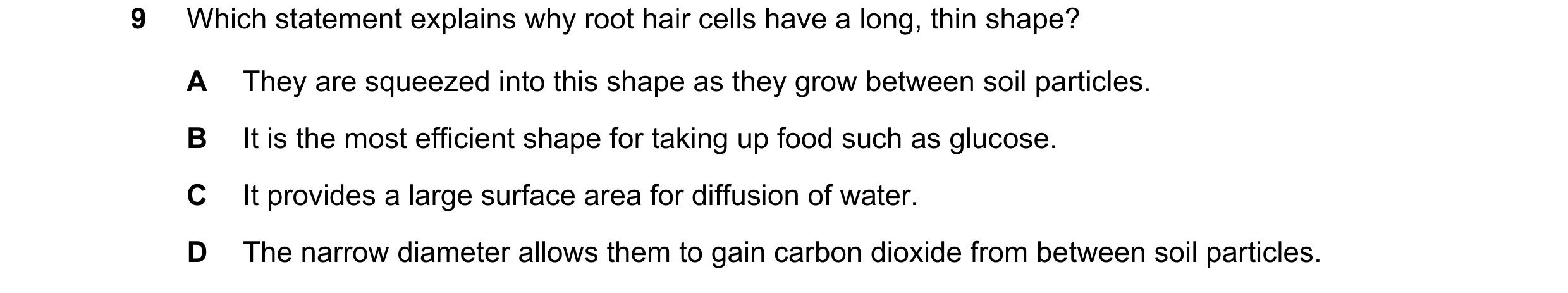 Question 22: Which statement explains why root hair cells have a long, thin shape? A They are squeezed into this shape as they grow between soil particl…