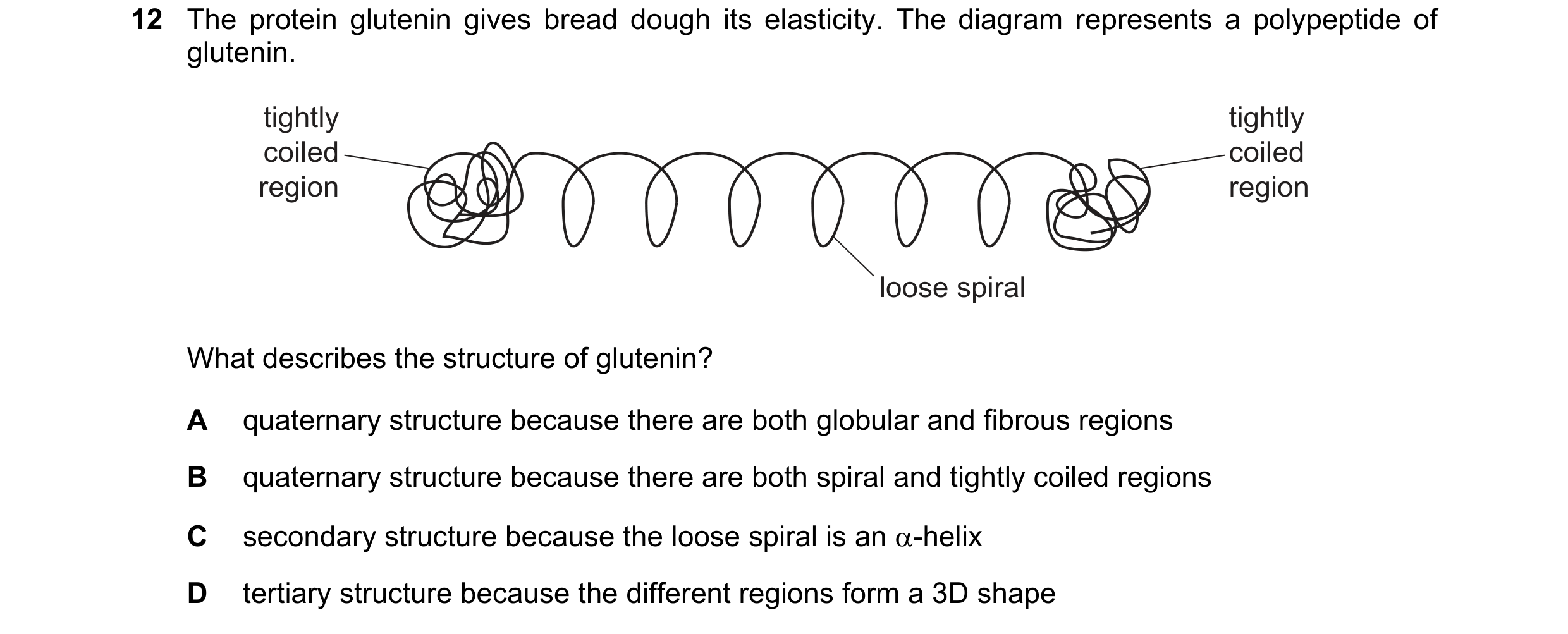 Question 145: The protein glutenin gives bread dough its elasticity. The diagram represents a polypeptide of glutenin. tightly tightly coiled coiled regi…