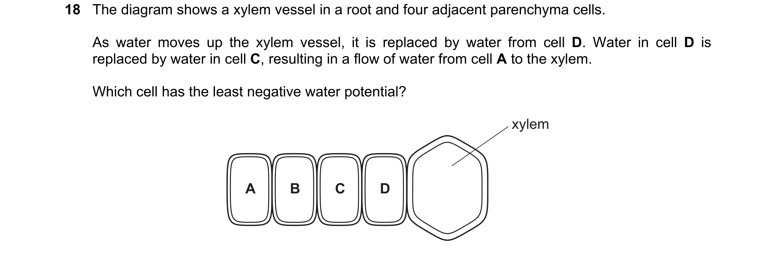 Question 190: The diagram shows a xylem vessel in a root and four adjacent parenchyma cells. As water moves up the xylem vessel, it is replaced by water …