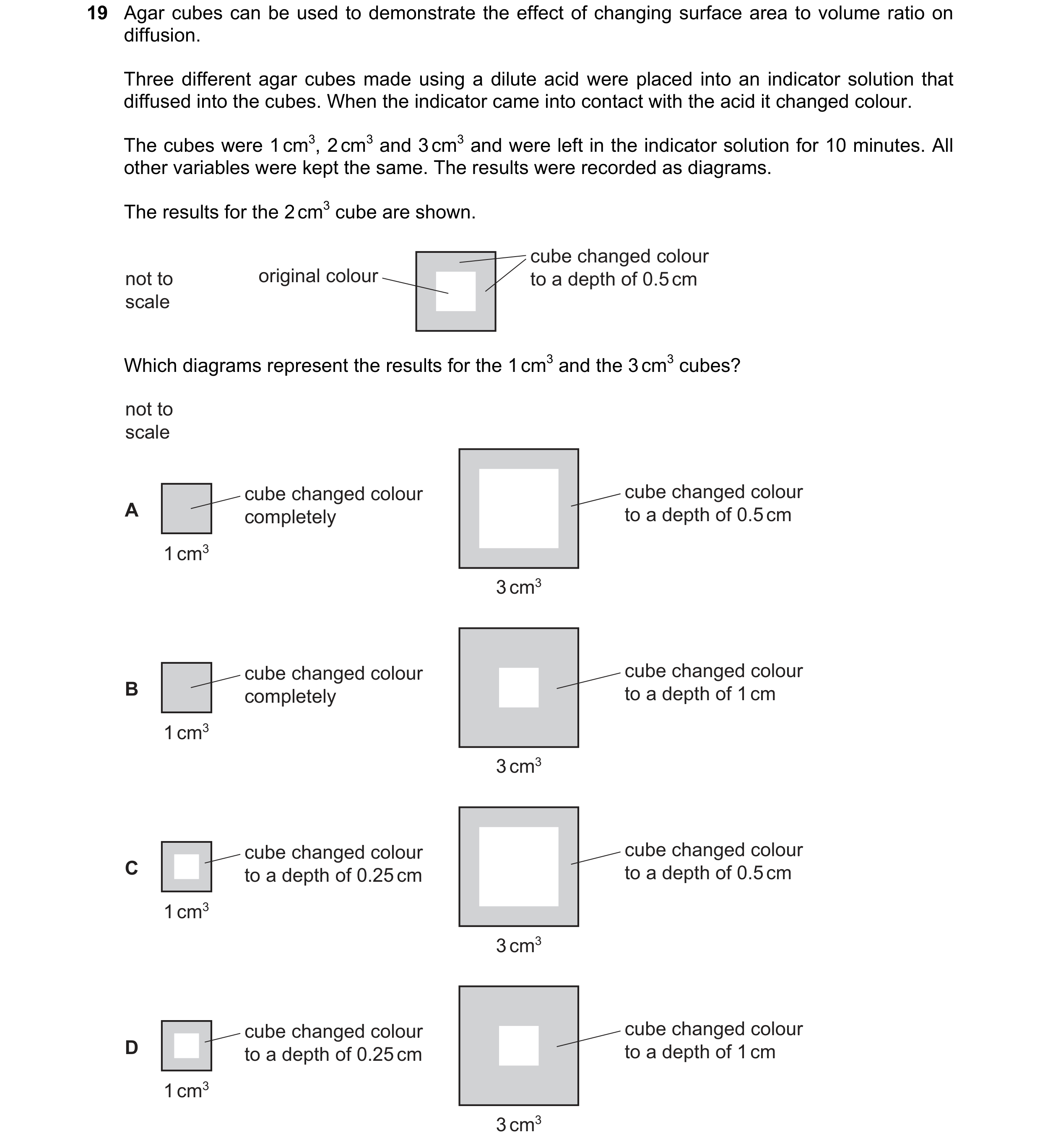 Question 143: Agar cubes can be used to demonstrate the effect of changing surface area to volume ratio on diffusion. Three different agar cubes made usi…