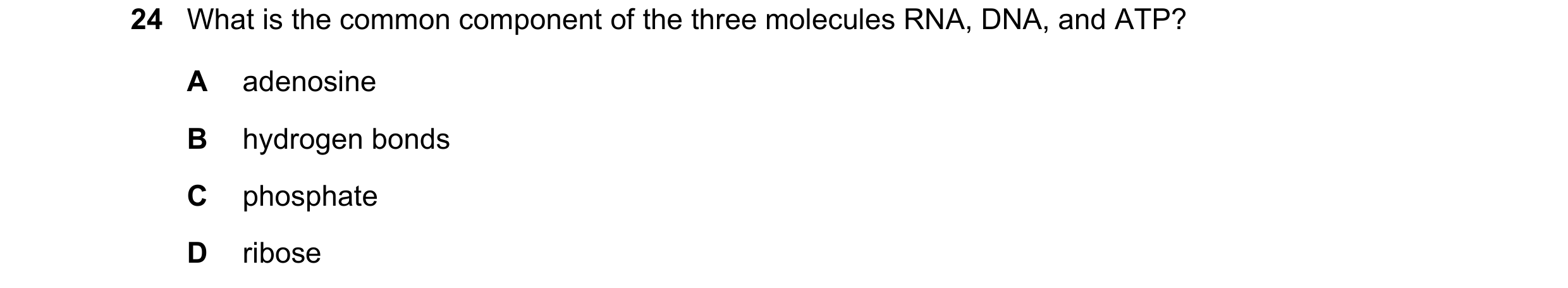 Question 28: What is the common component of the three molecules RNA, DNA, and ATP? A adenosine B hydrogen bonds C phosphate D ribose