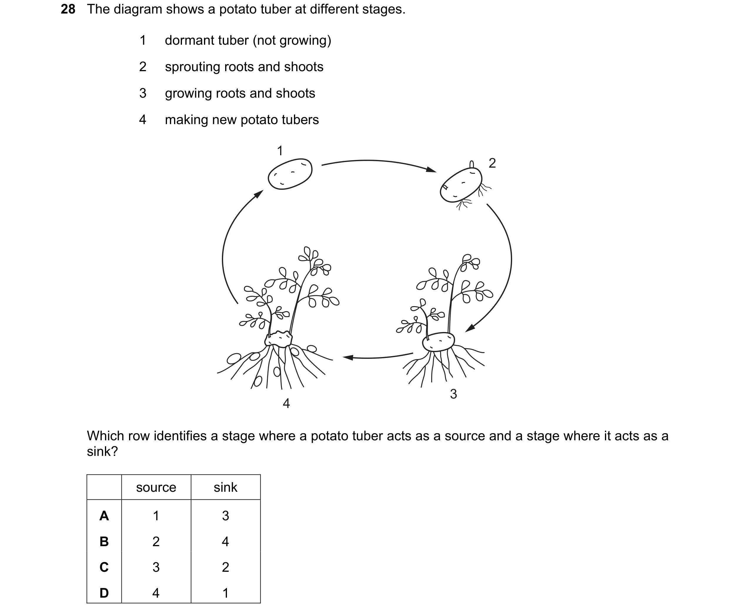 Question 192: The diagram shows a potato tuber at different stages. 1 dormant tuber (not growing) 2 sprouting roots and shoots 3 growing roots and shoots…