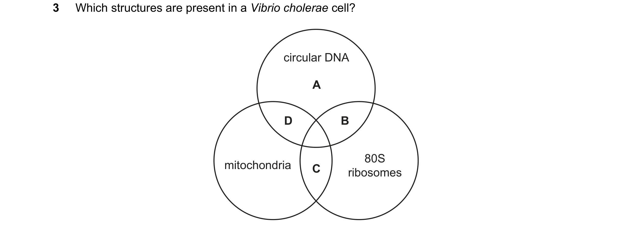 Question 203: Which structures are present in a Vibrio cholerae cell? circular DNA A D B 80S mitochondria C ribosomes