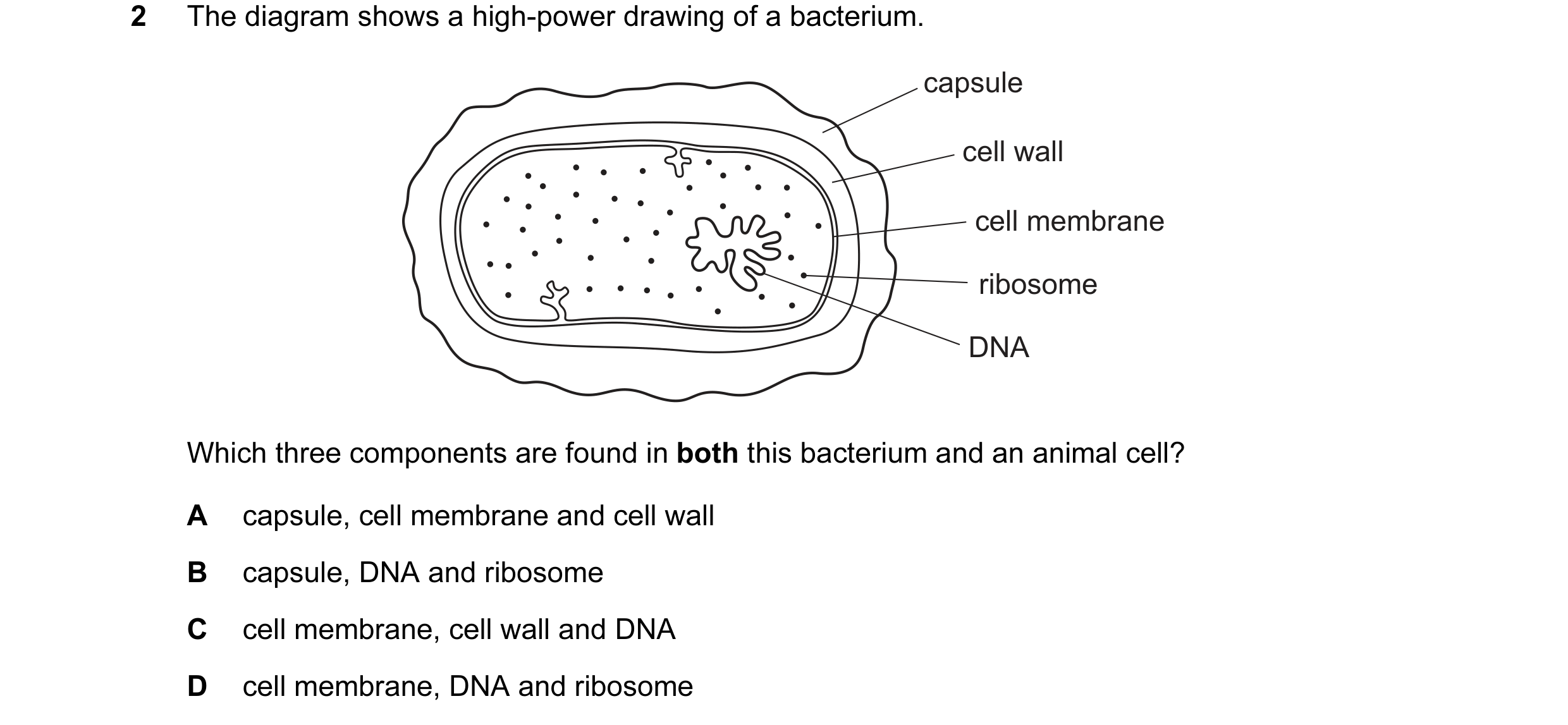 Question 113: The diagram shows a high-power drawing of a bacterium. capsule cell wall cell membrane ribosome DNA Which three components are found in bot…