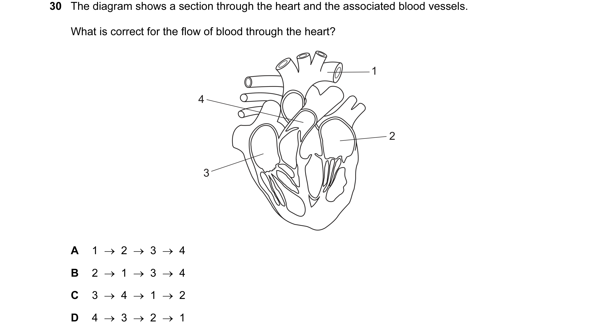 Question 55: The diagram shows a section through the heart and the associated blood vessels. What is correct for the flow of blood through the heart? 1 …