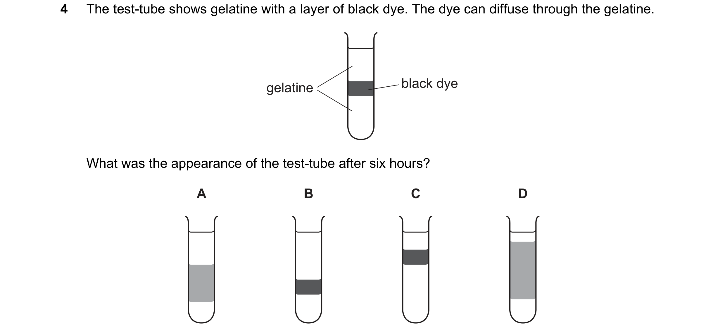 Question 14: The test-tube shows gelatine with a layer of black dye. The dye can diffuse through the gelatine. gelatine black dye What was the appearanc…