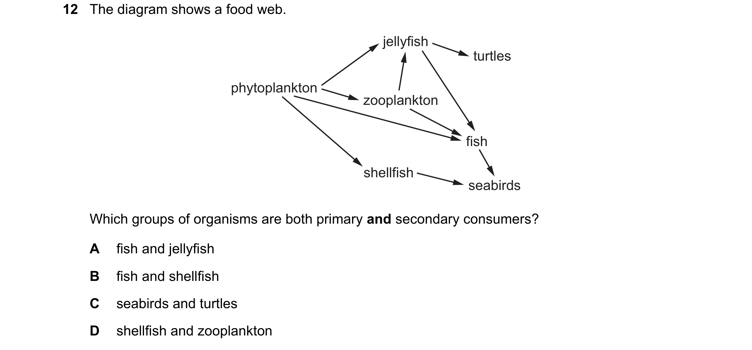 Question 21: The diagram shows a food web. jellyfish turtles phytoplankton zooplankton fish shellfish seabirds Which groups of organisms are both primar…