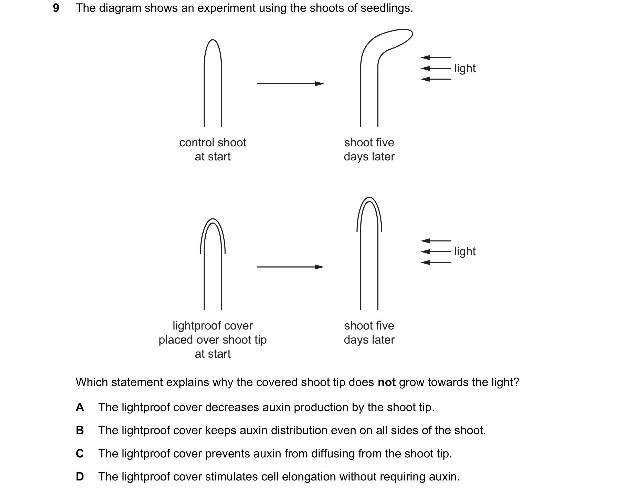 Question 28: The diagram shows an experiment using the shoots of seedlings. light control shoot shoot five at start days later light lightproof cover sh…