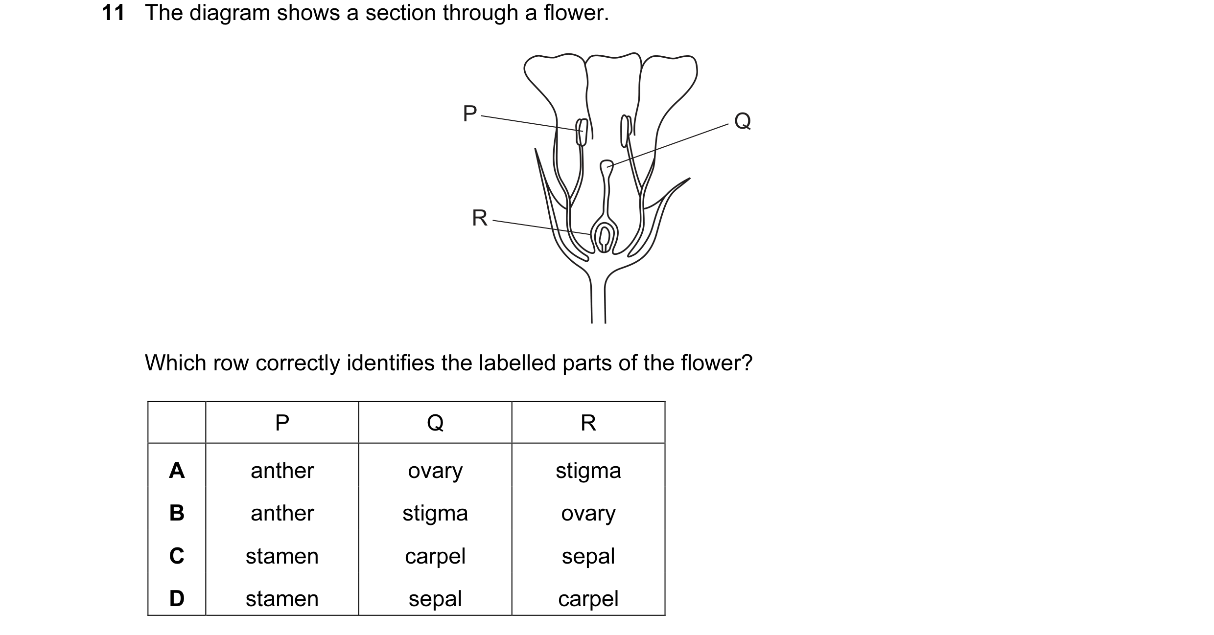 Question 48: The diagram shows a section through a flower. P Q R Which row correctly identifies the labelled parts of the flower? P Q R A anther ovary s…